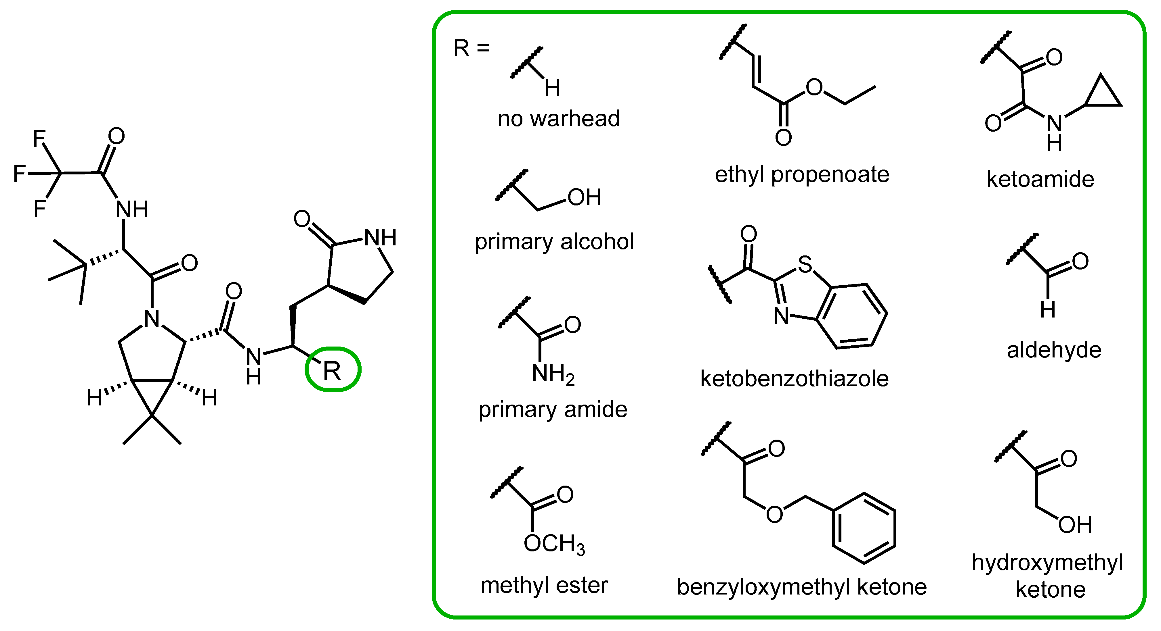 Pharmaceutics 16 00217 g004