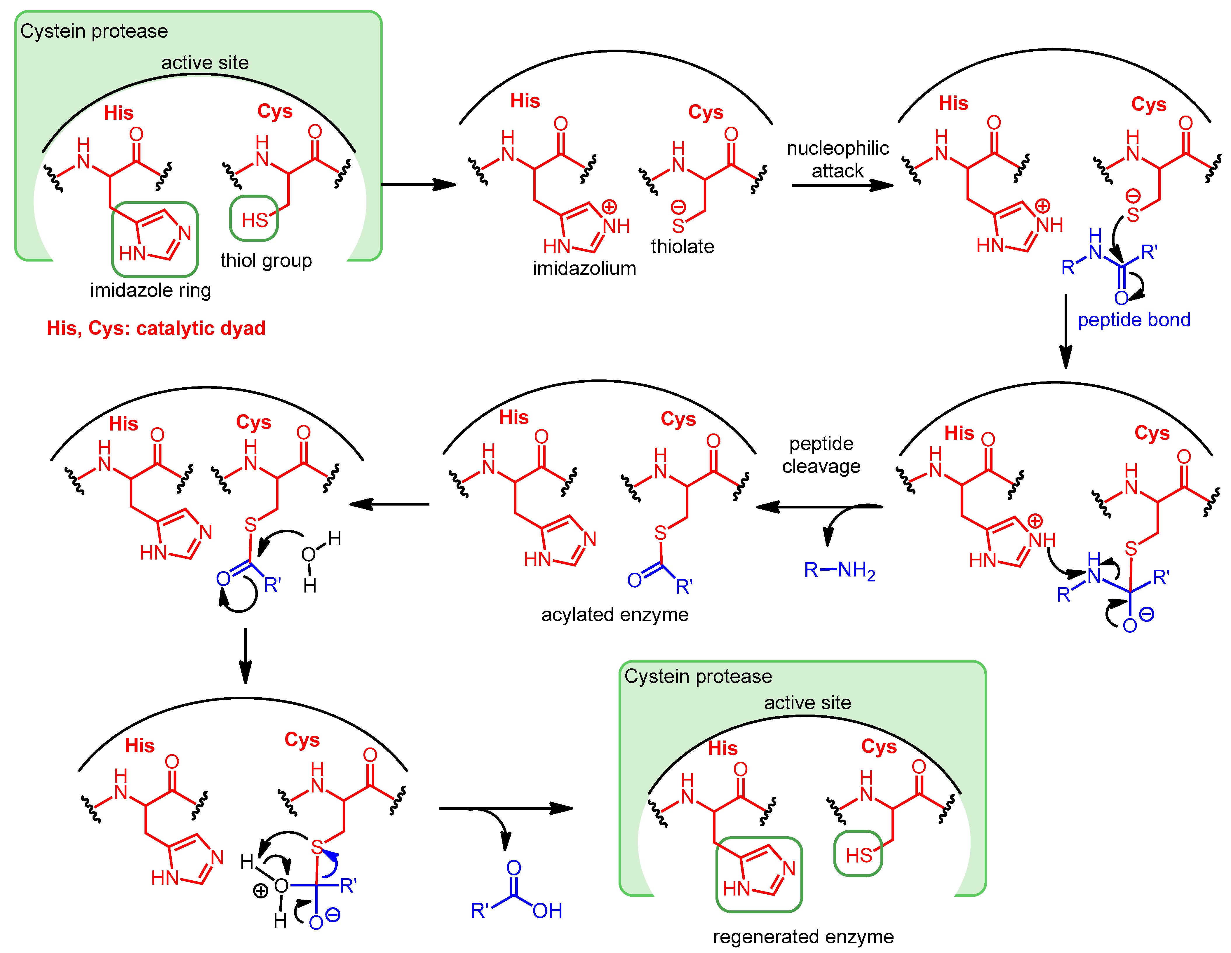 Pharmaceutics 16 00217 sch001