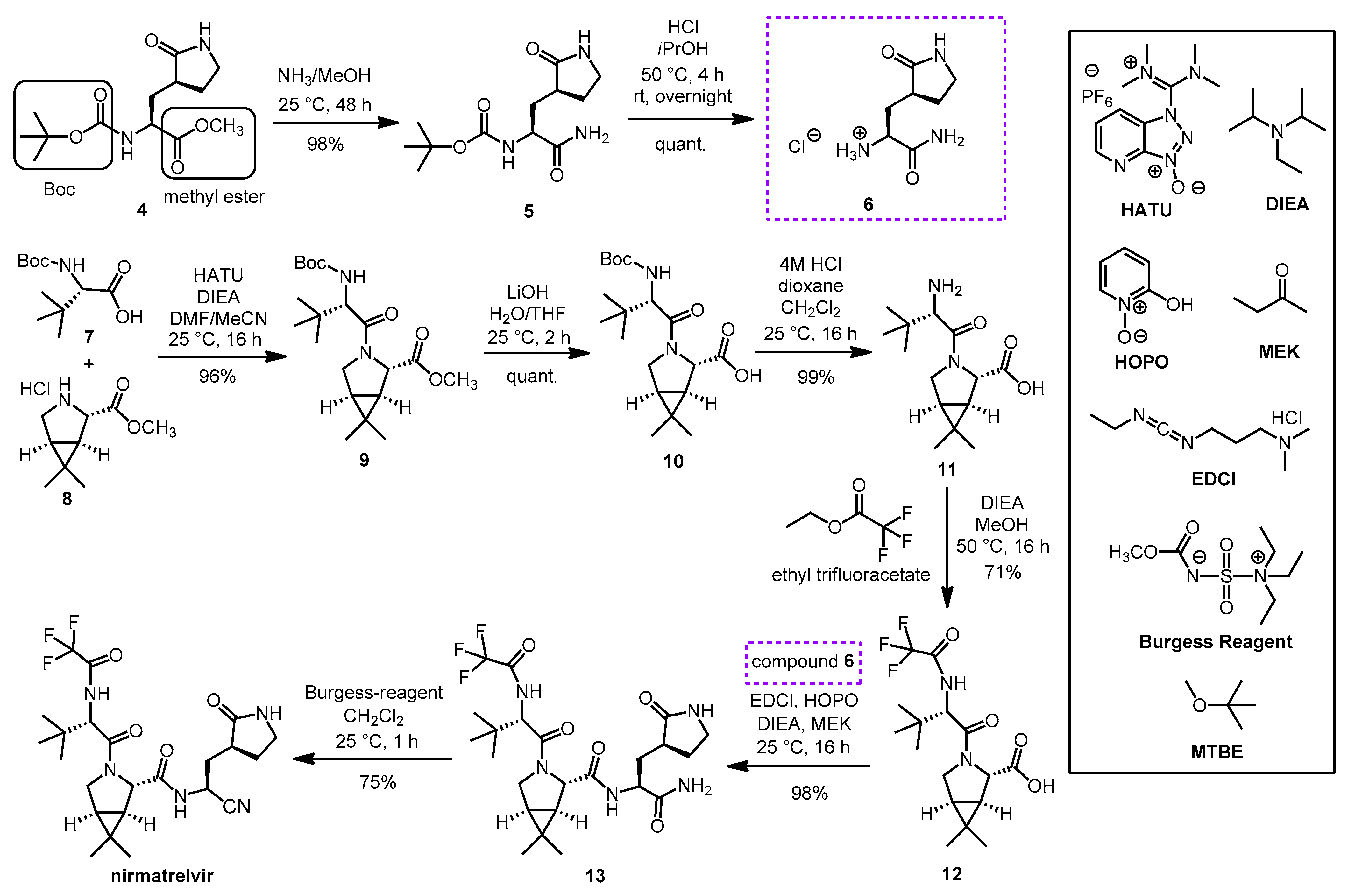 Pharmaceutics 16 00217 sch003