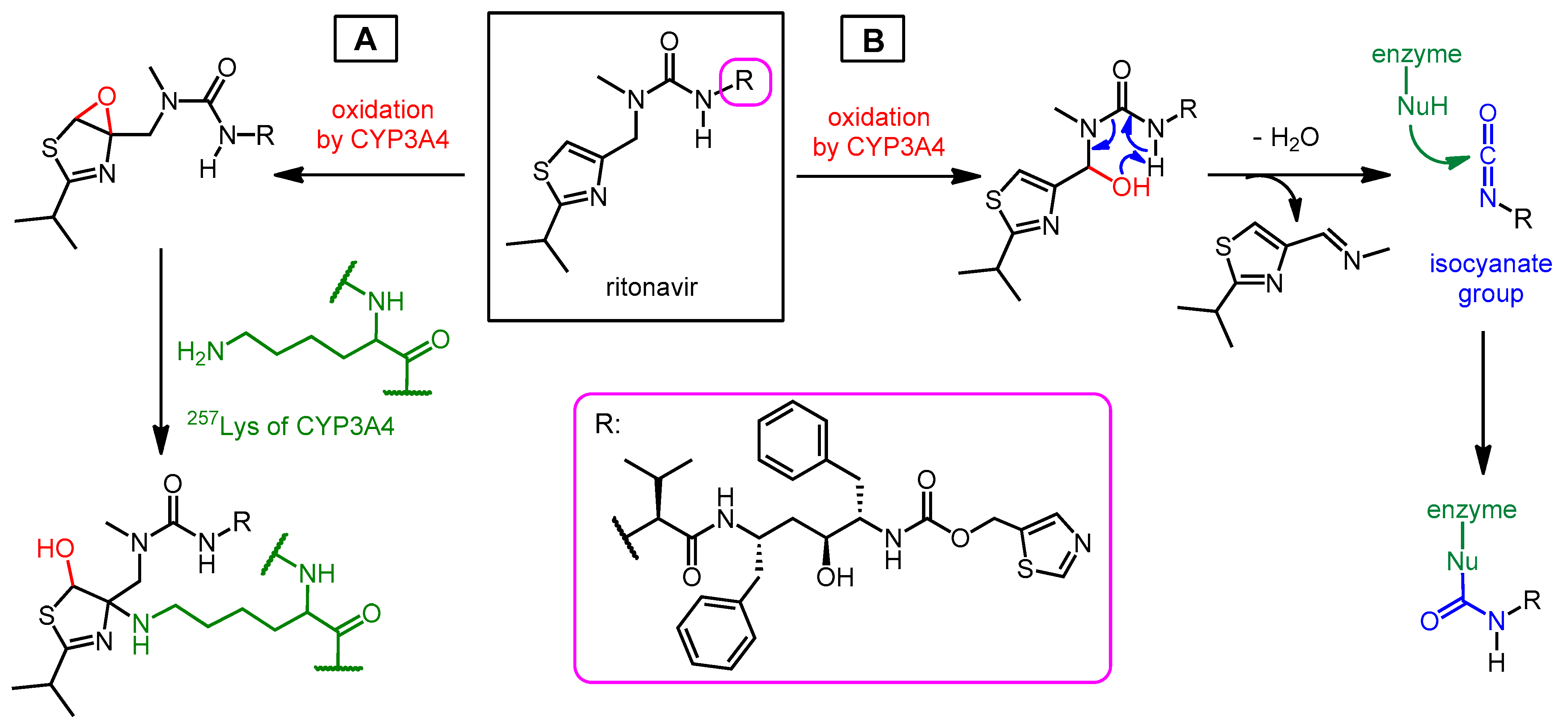 Pharmaceutics 16 00217 sch006