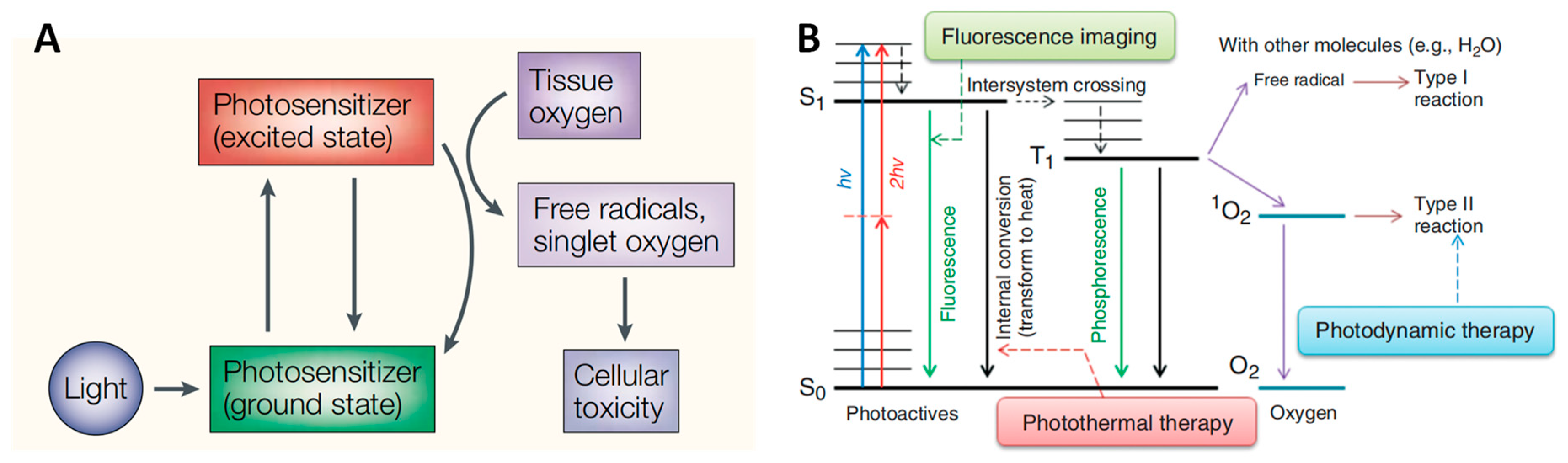 Pharmaceutics 16 00218 g001