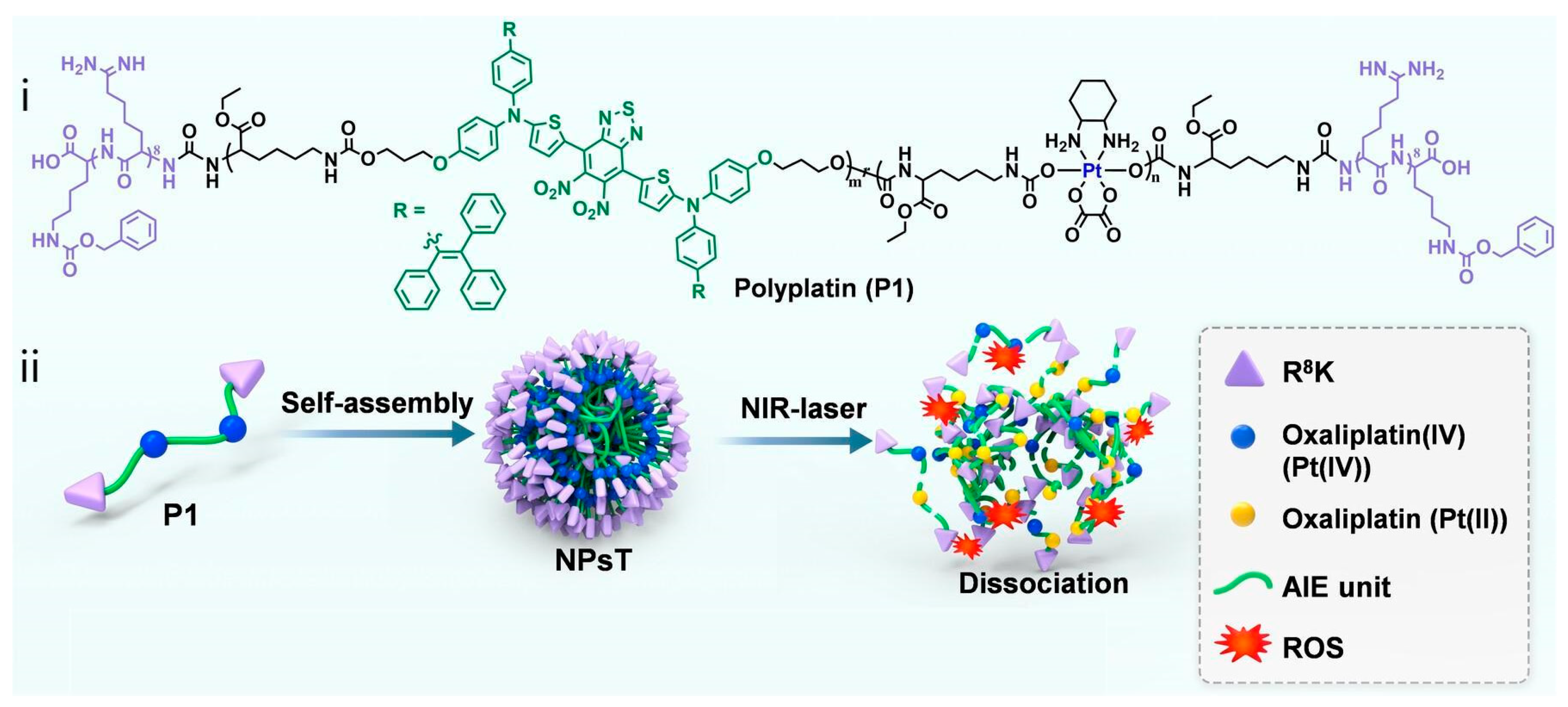 Pharmaceutics 16 00218 g004