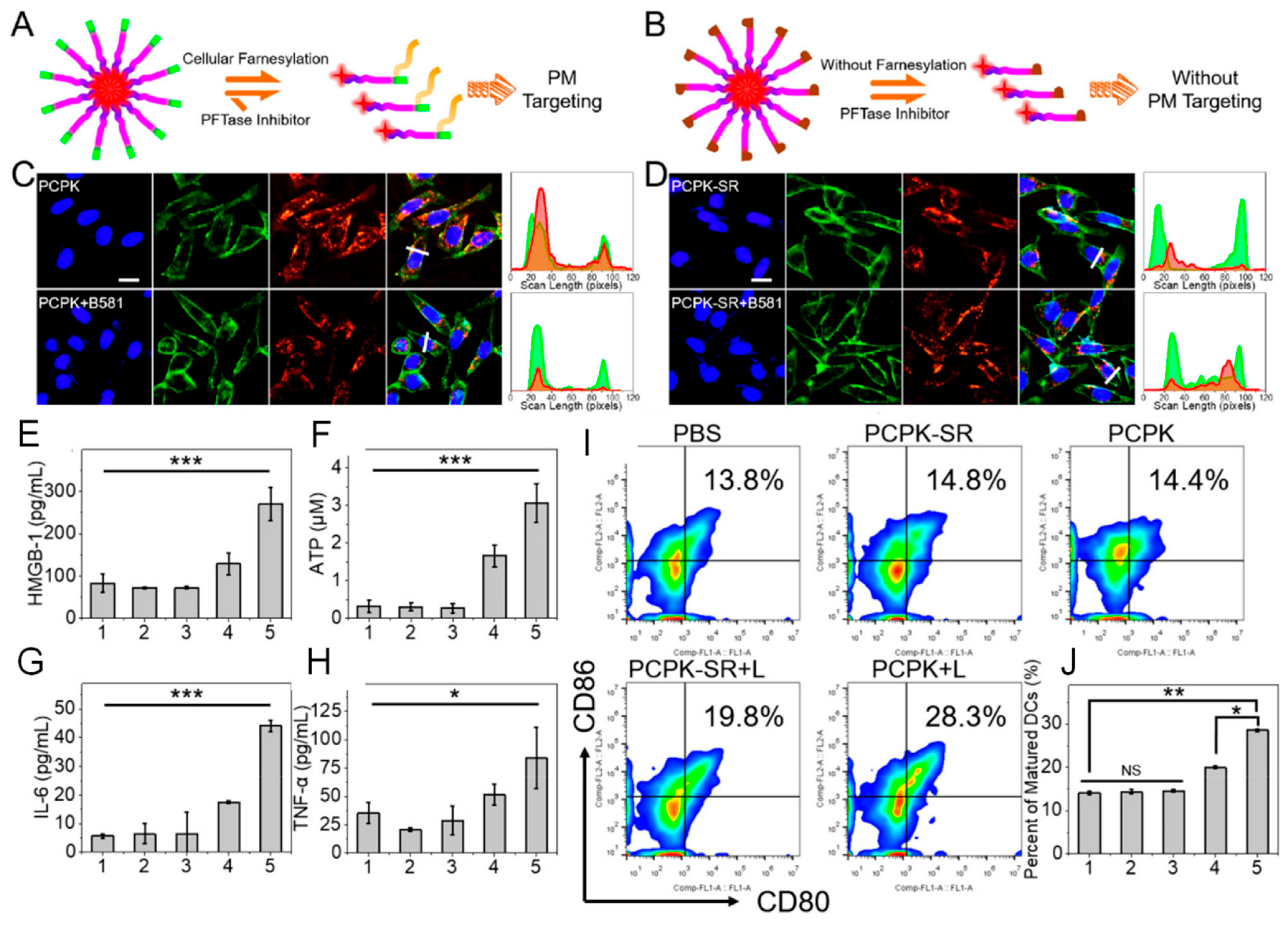Pharmaceutics 16 00218 g005