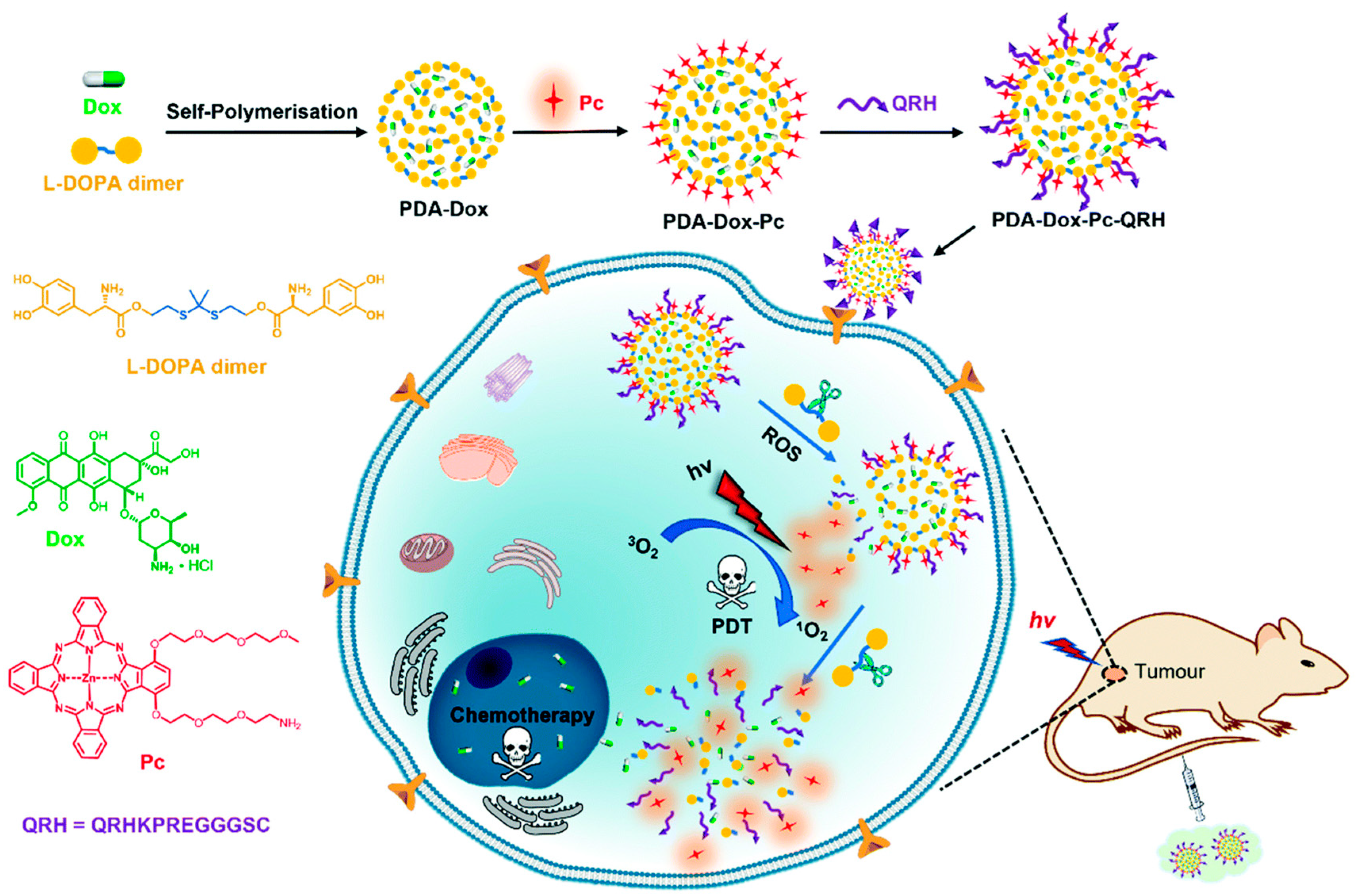 Pharmaceutics 16 00218 g007