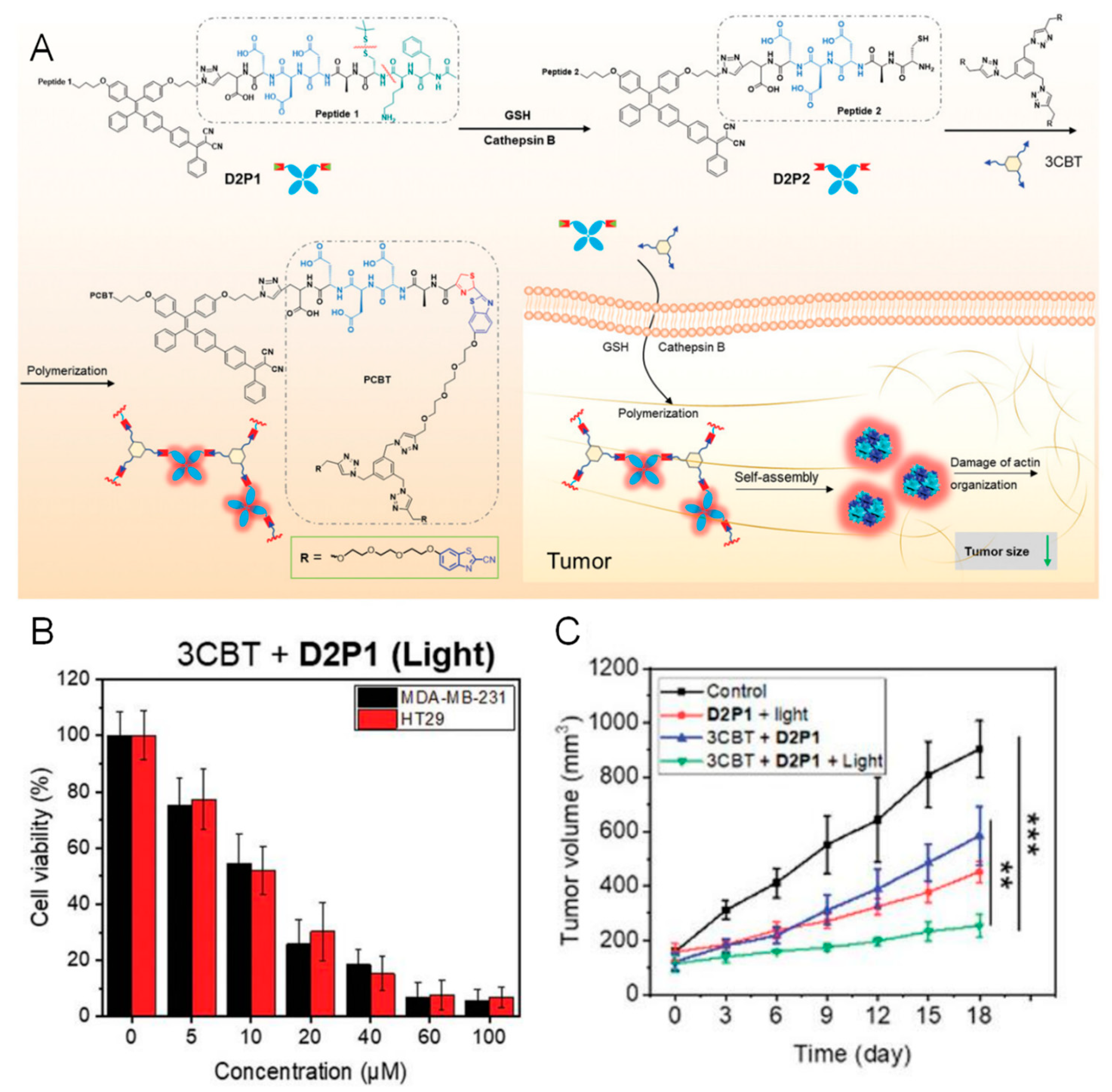 Pharmaceutics 16 00218 g010