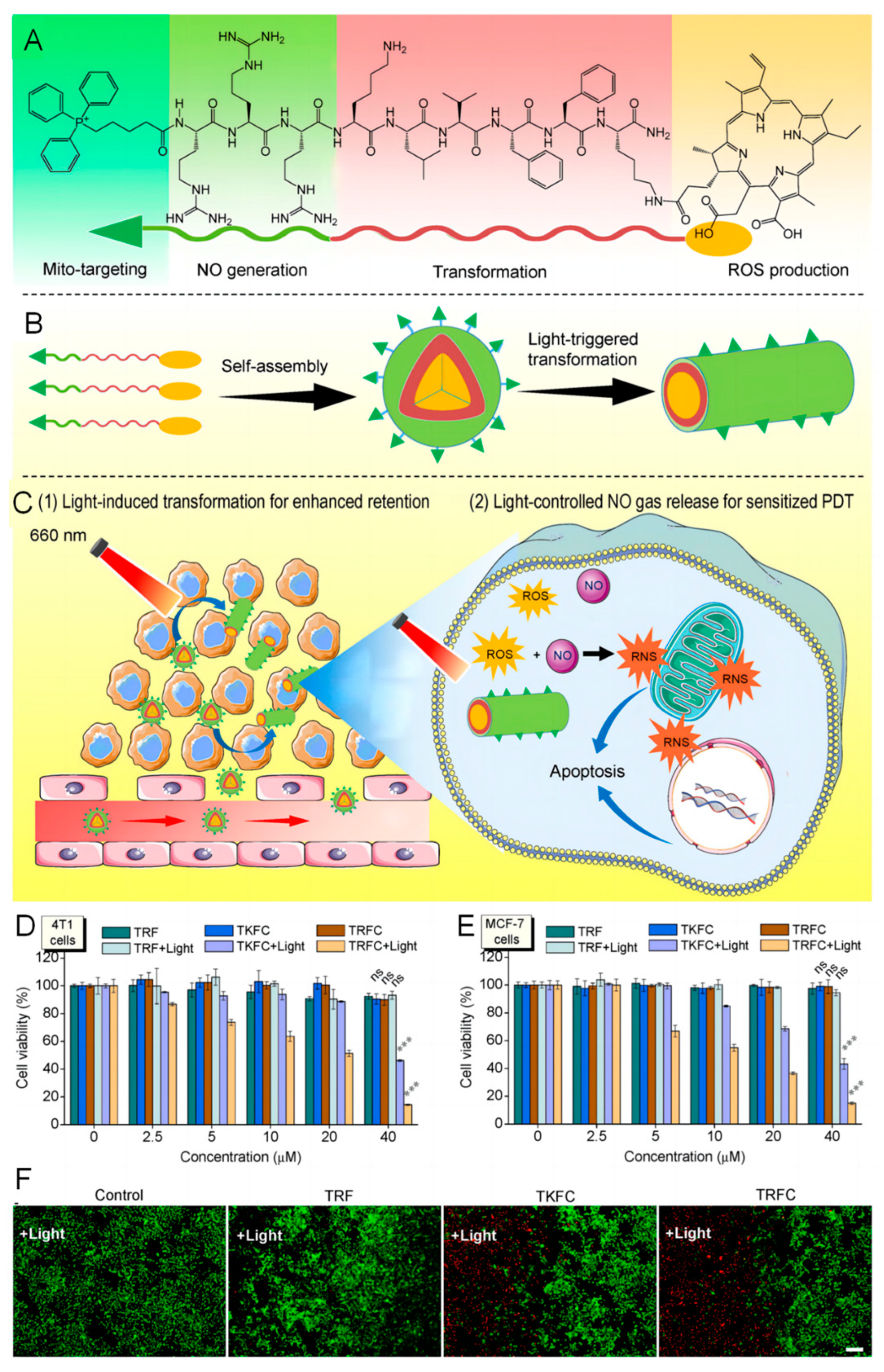 Pharmaceutics 16 00218 g011