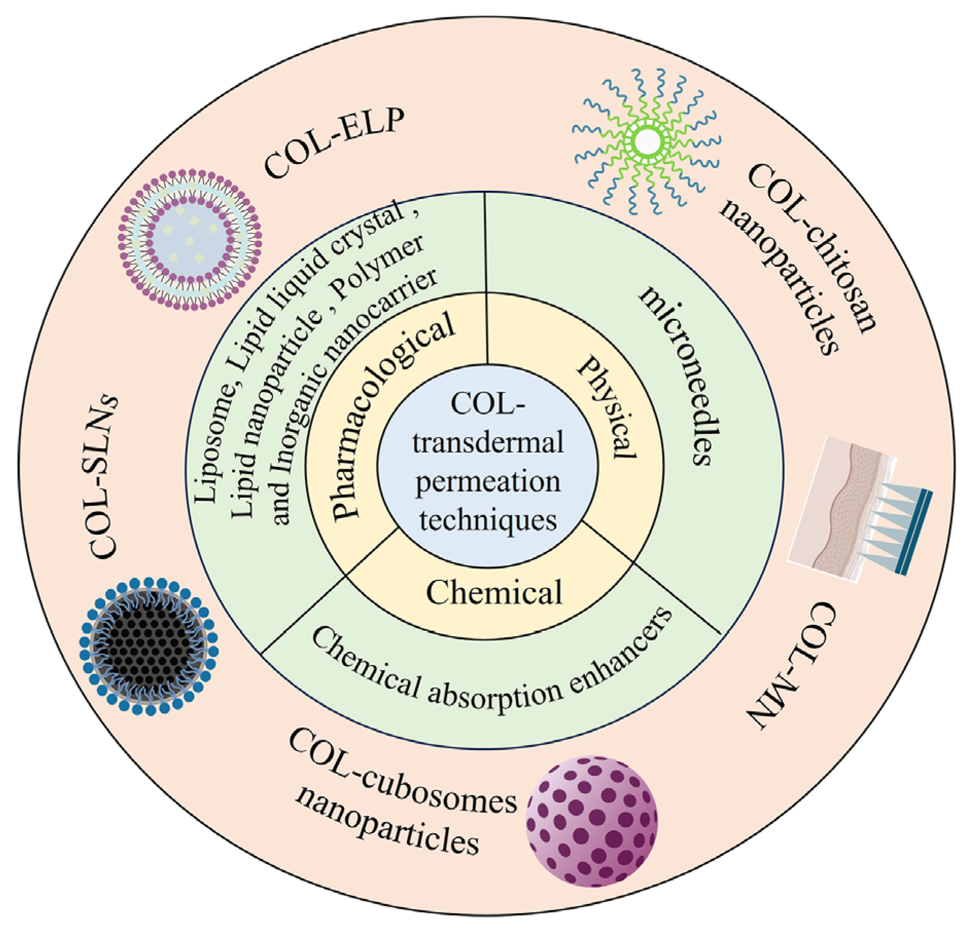 Pharmaceutics 16 00222 g003