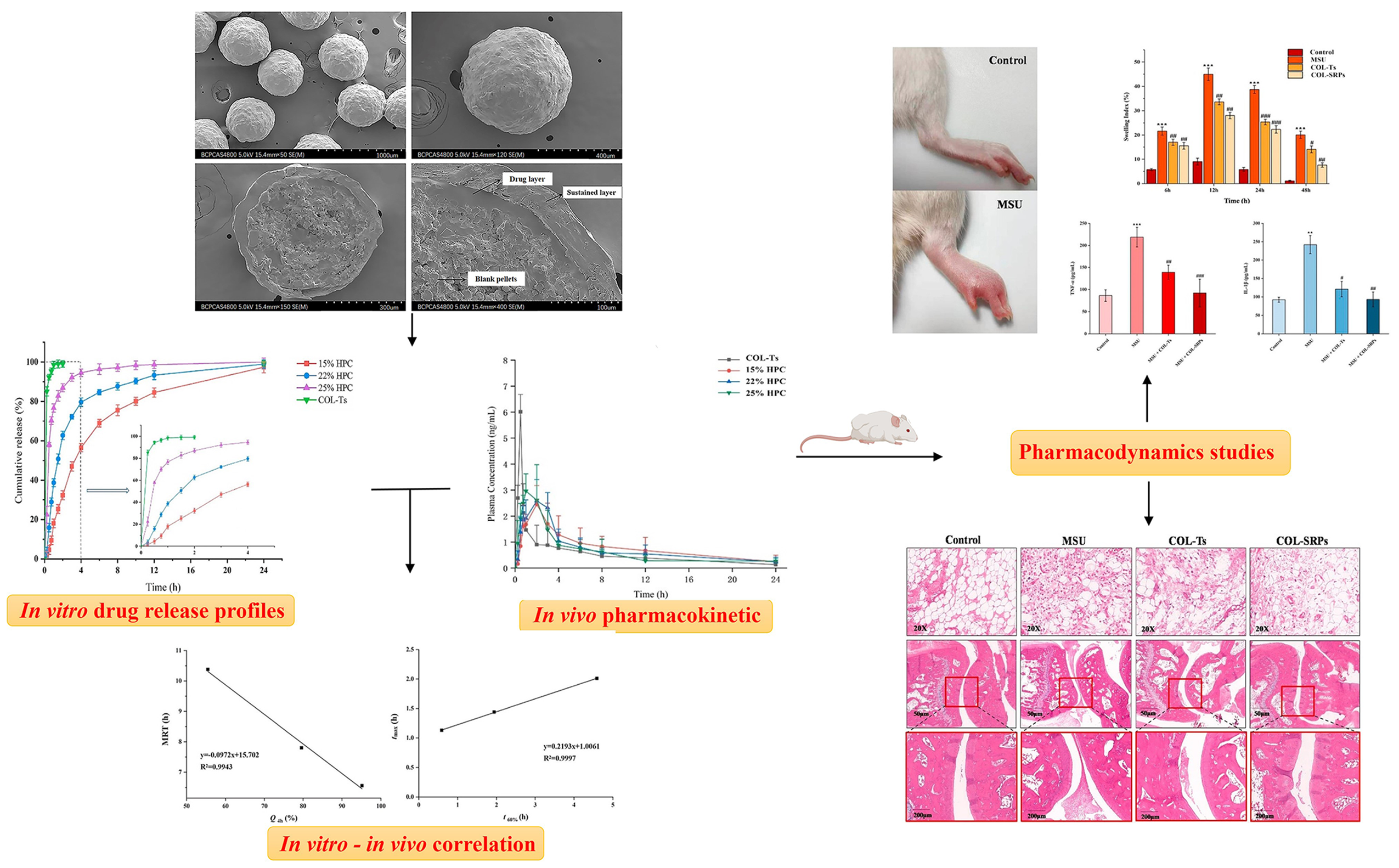 Pharmaceutics 16 00222 g007