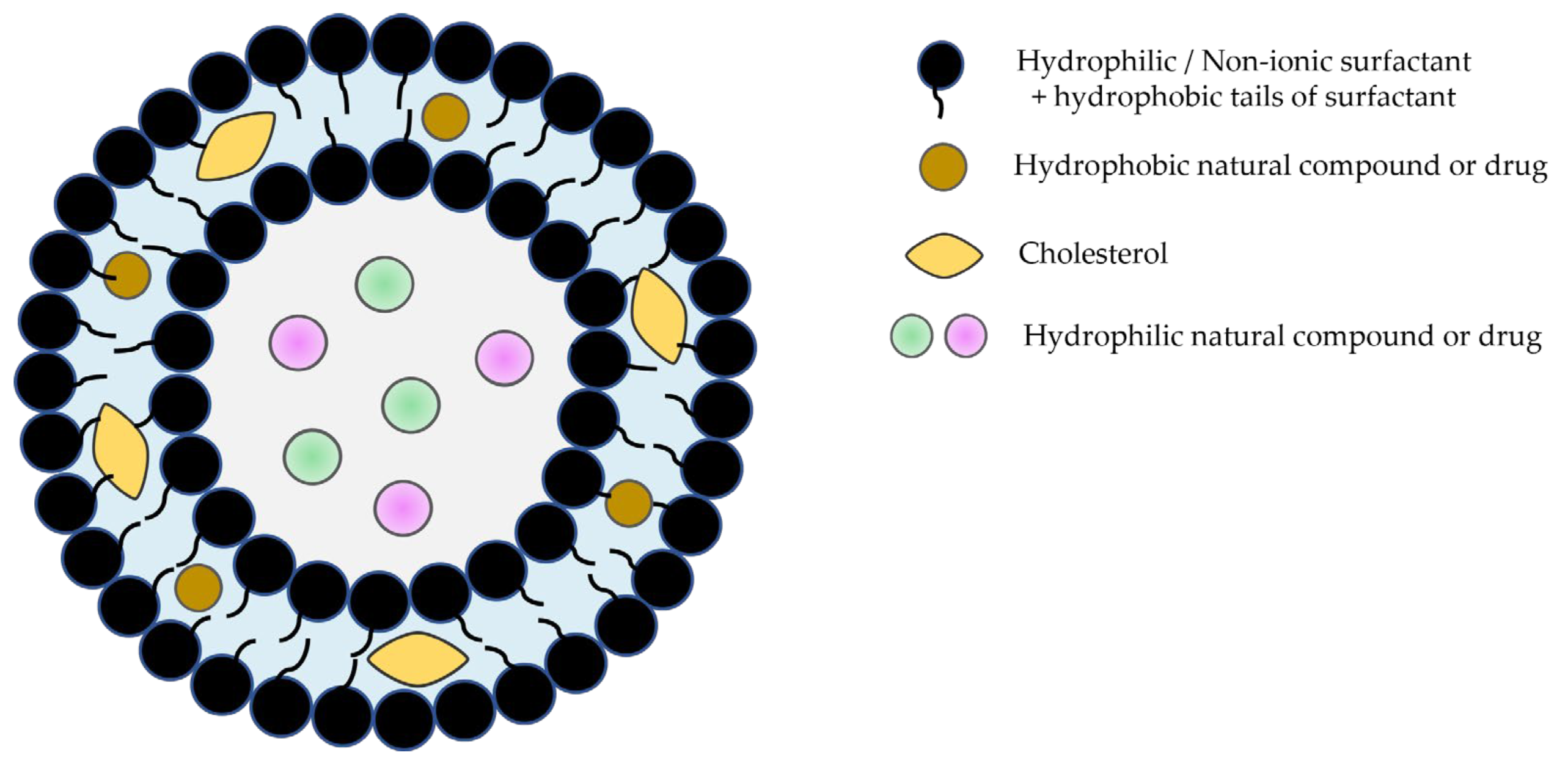 Pharmaceutics 16 00223 g001