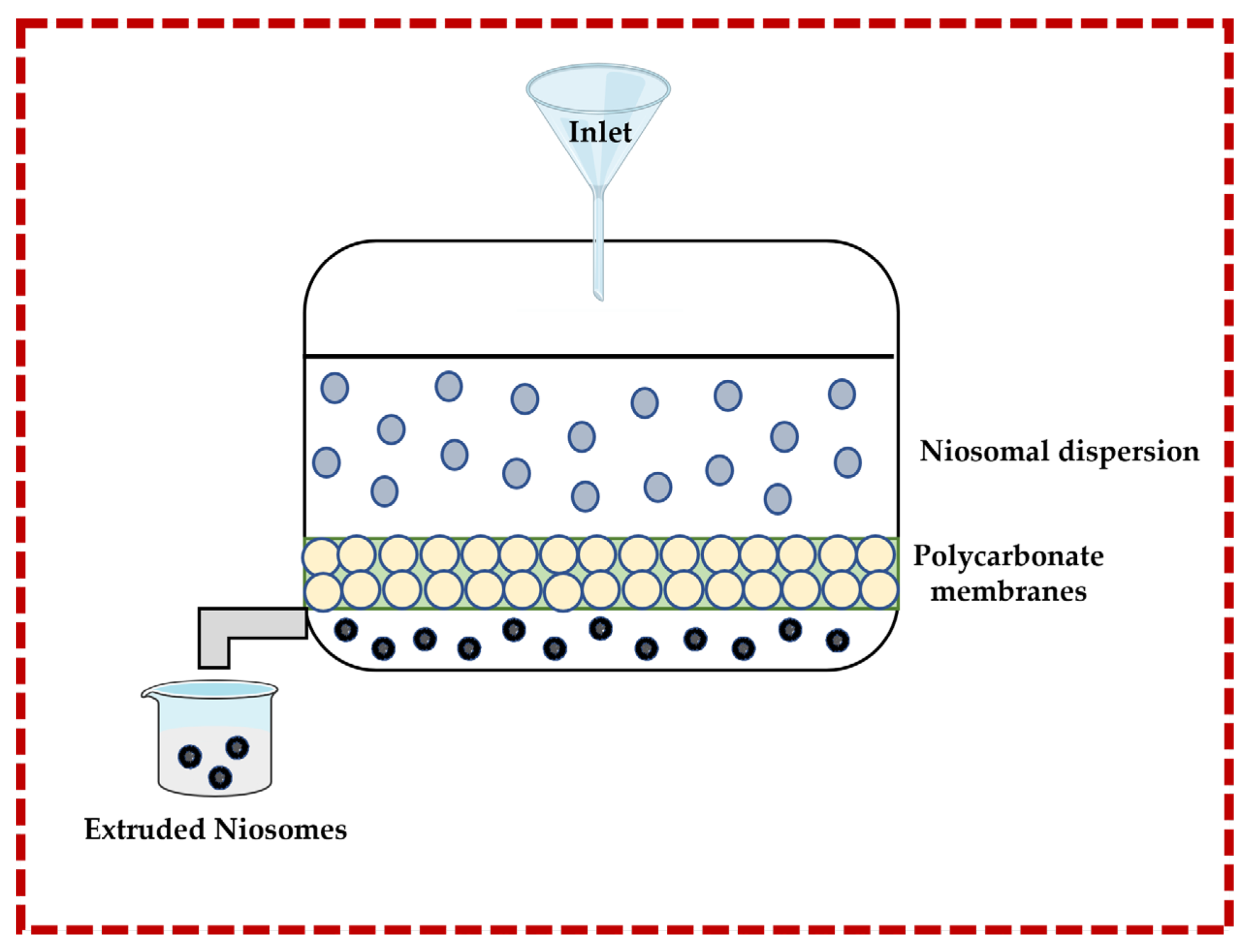Pharmaceutics 16 00223 g005