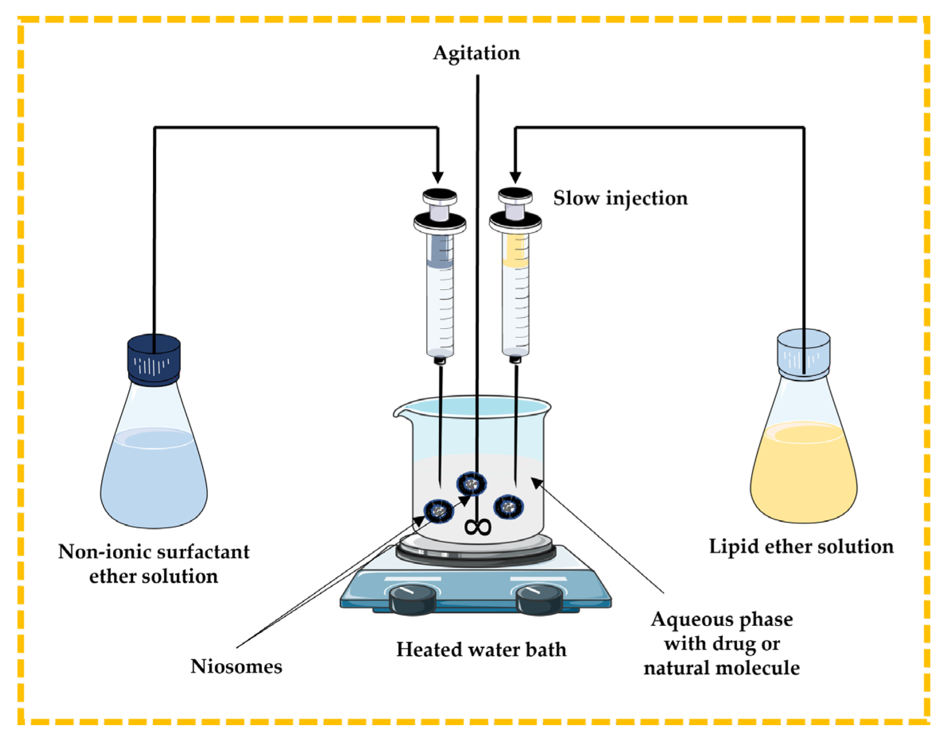 Pharmaceutics 16 00223 g006