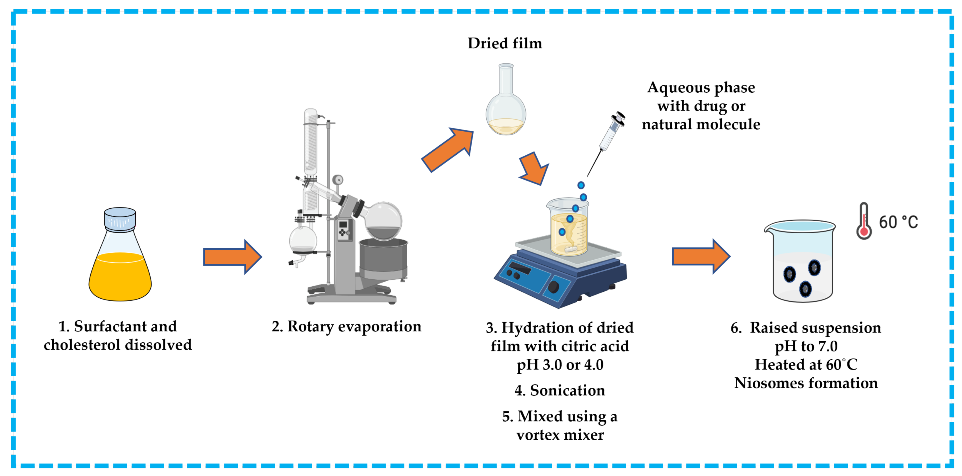 Pharmaceutics 16 00223 g010
