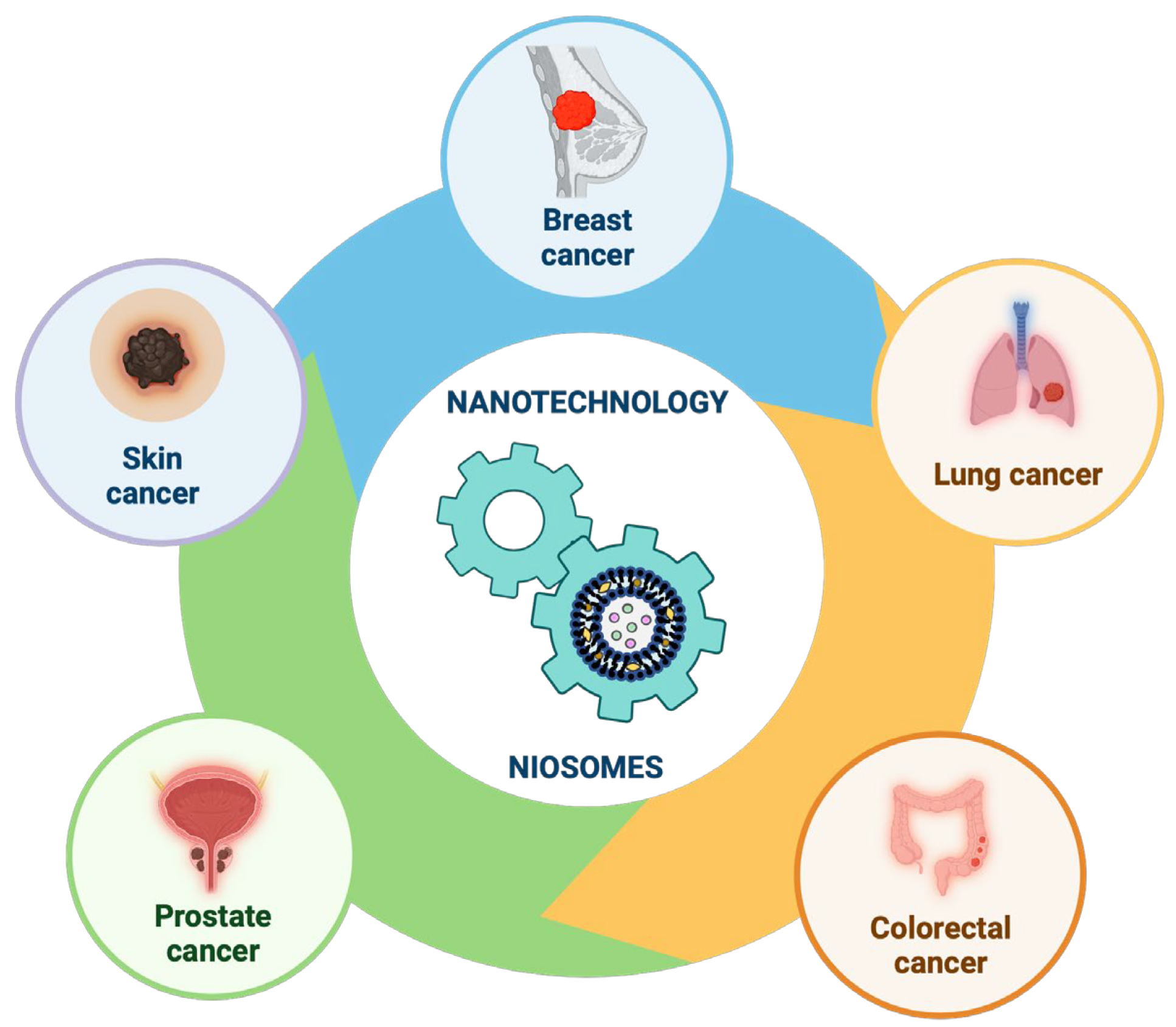 Pharmaceutics 16 00223 g012