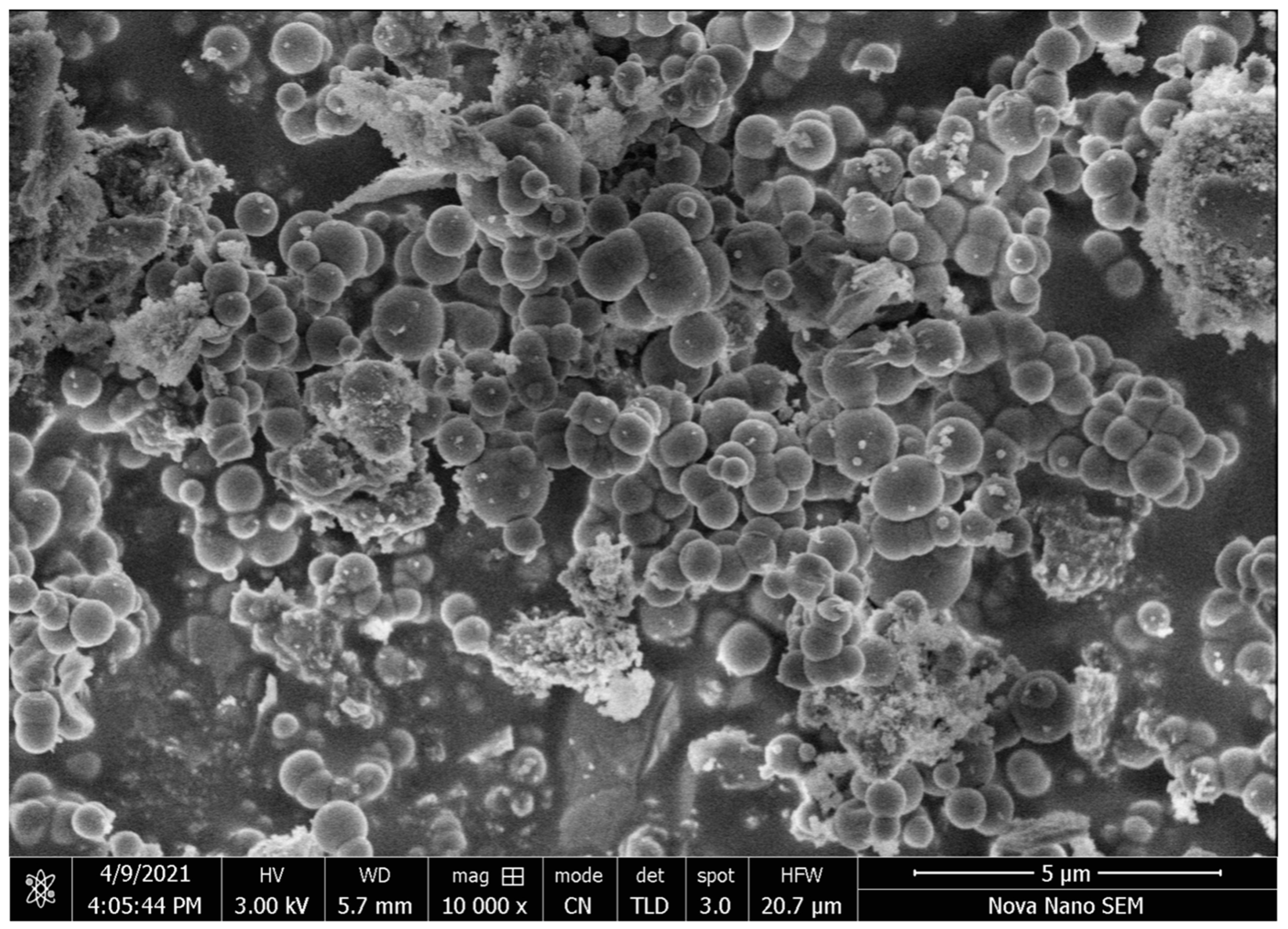 Pharmaceutics 16 00225 g007