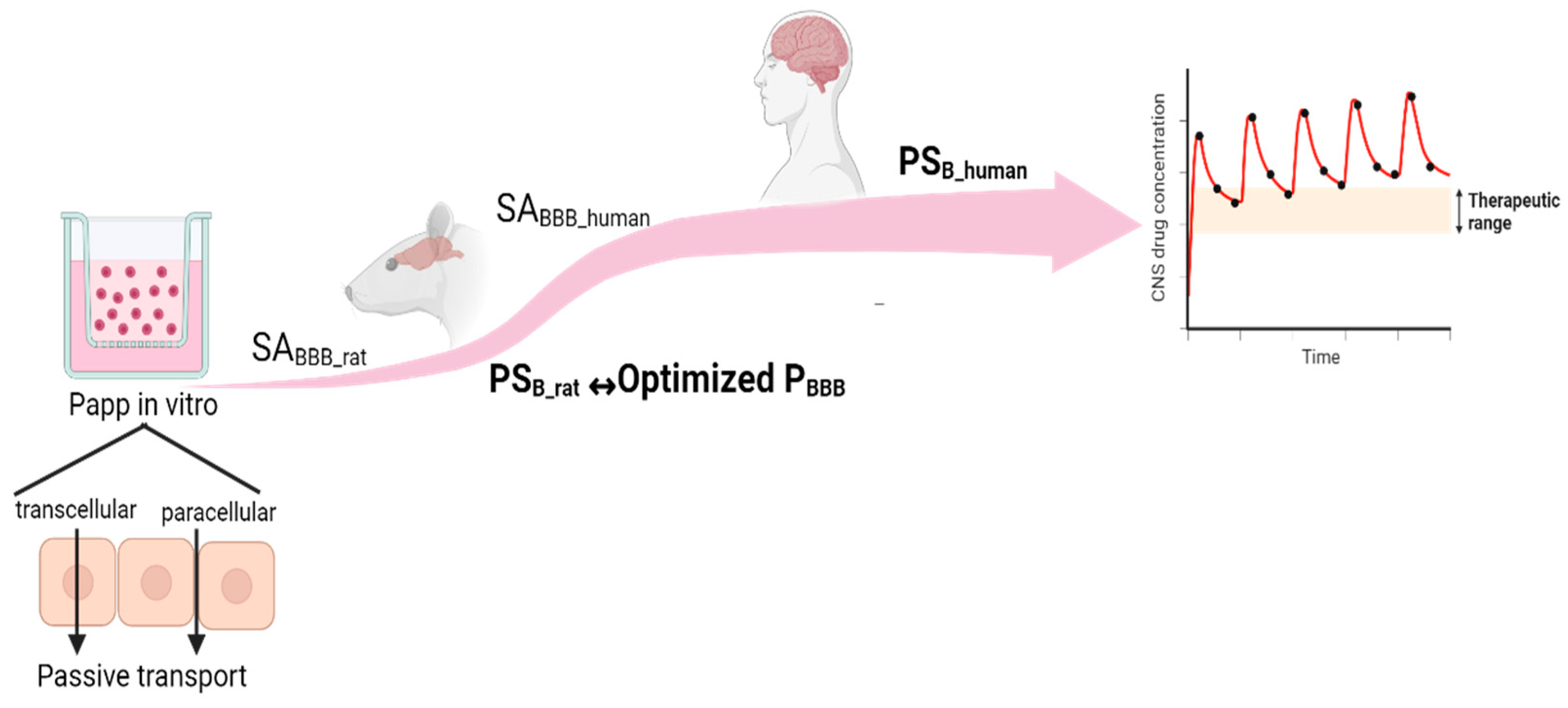 Pharmaceutics 16 00226 g001