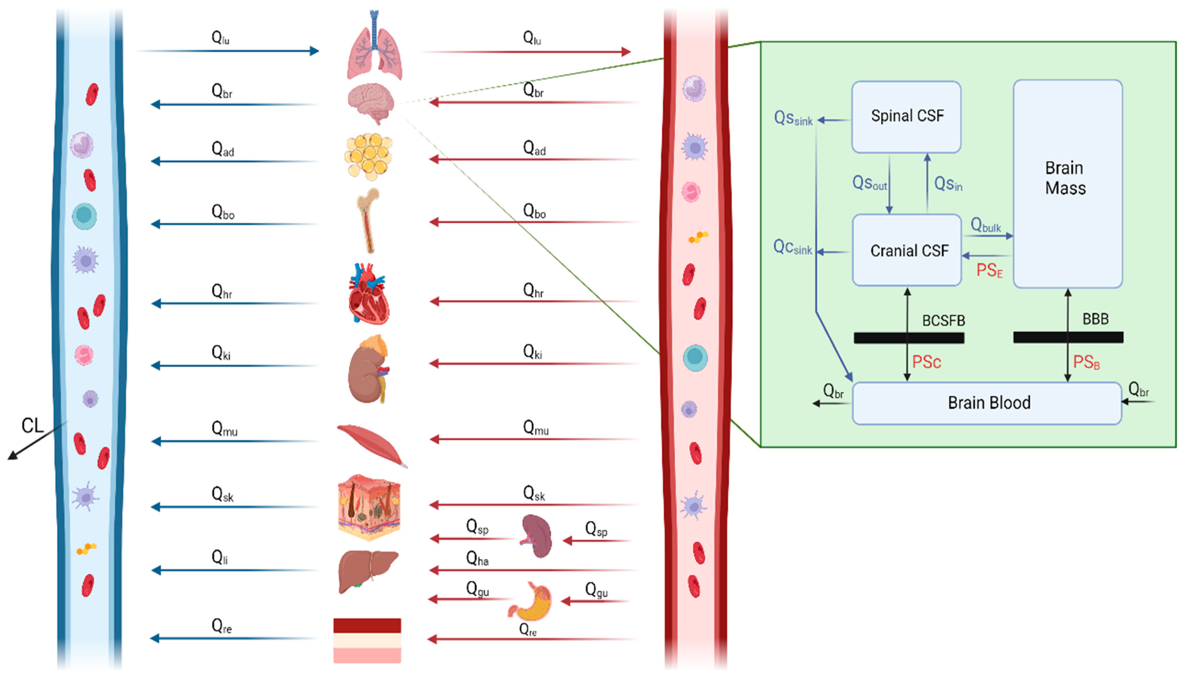 Pharmaceutics 16 00226 g003