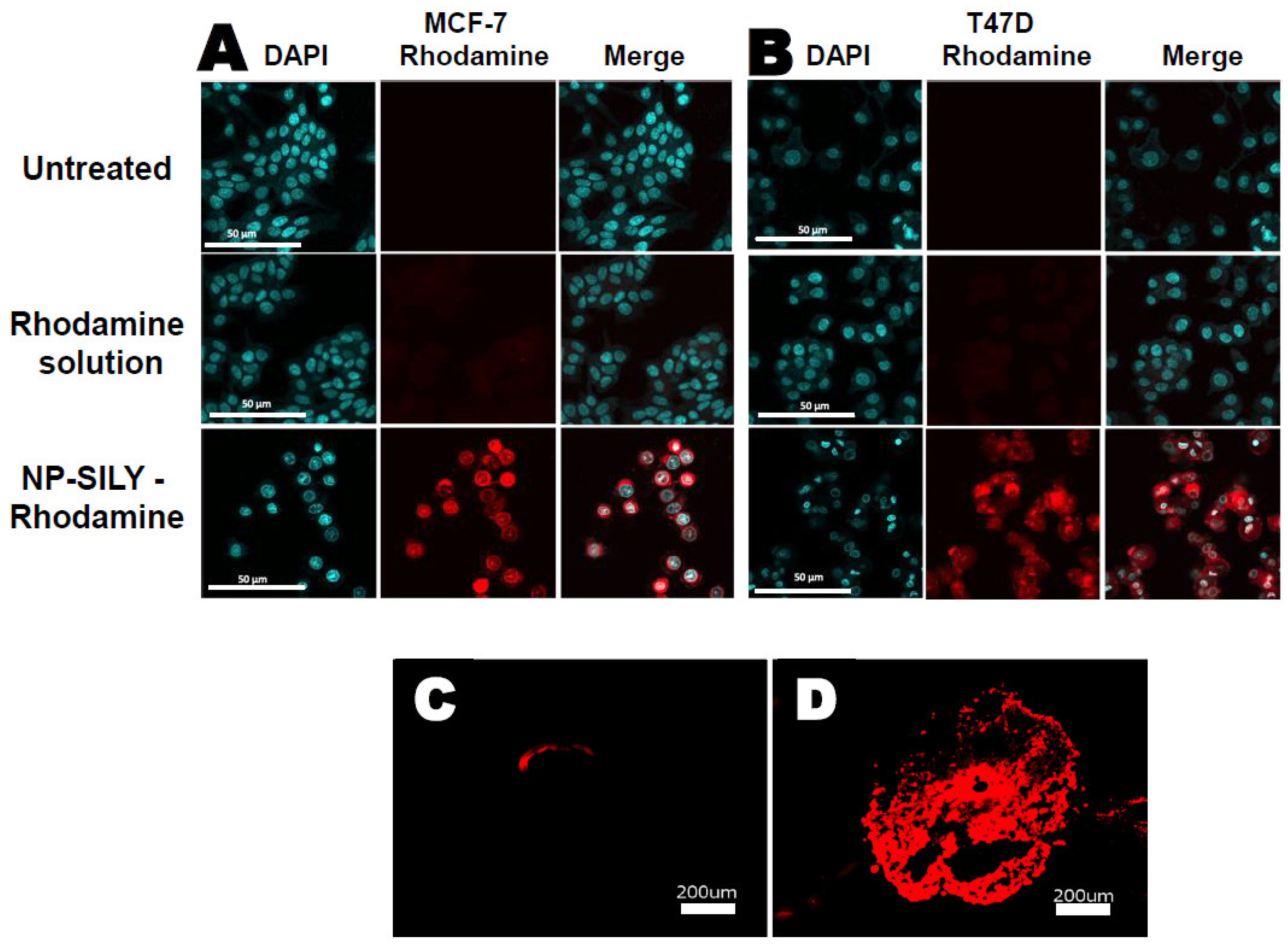 Pharmaceutics 16 00231 g006 Pharmaceutics 16 00231 g006