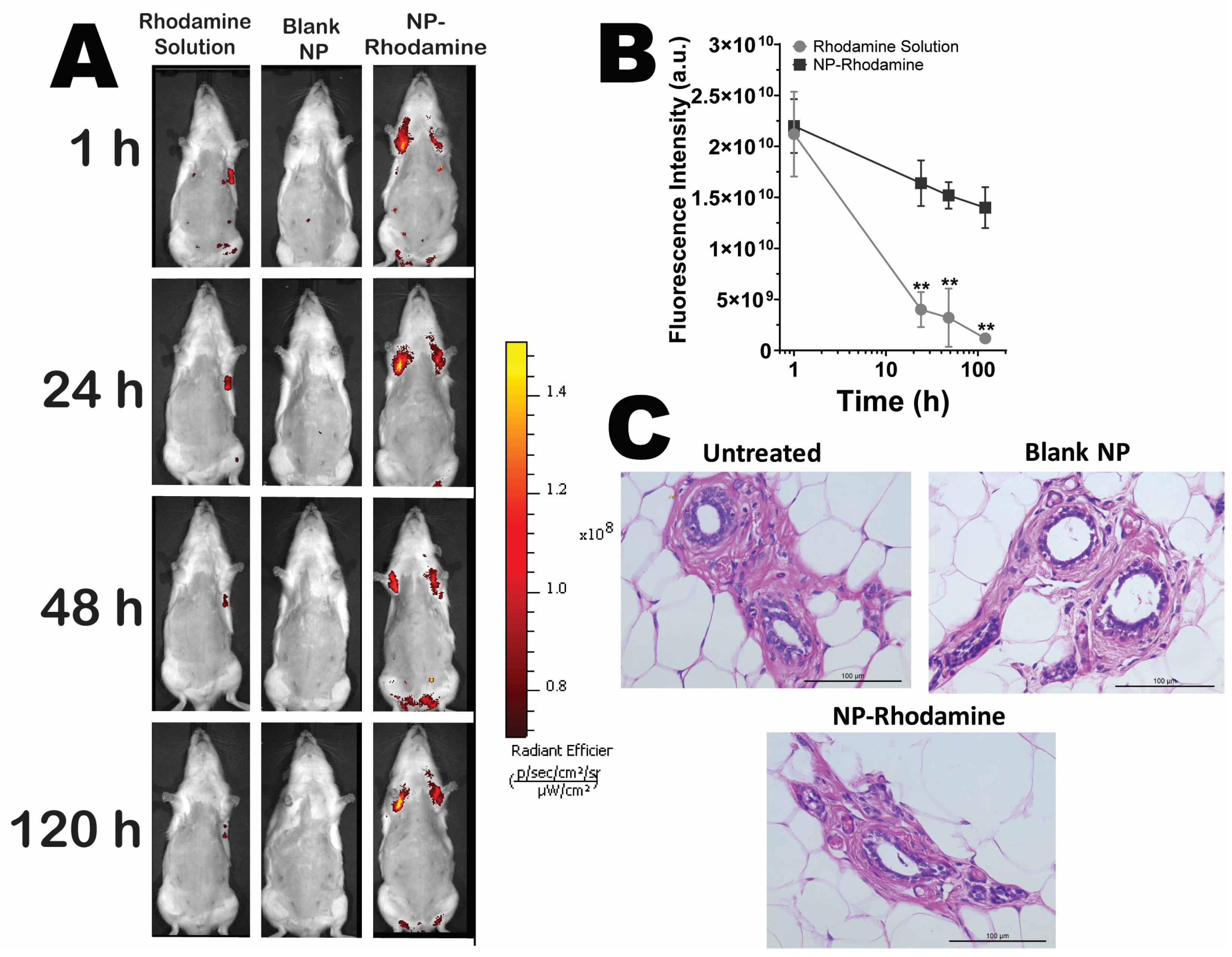 Pharmaceutics 16 00231 g007 Pharmaceutics 16 00231 g007