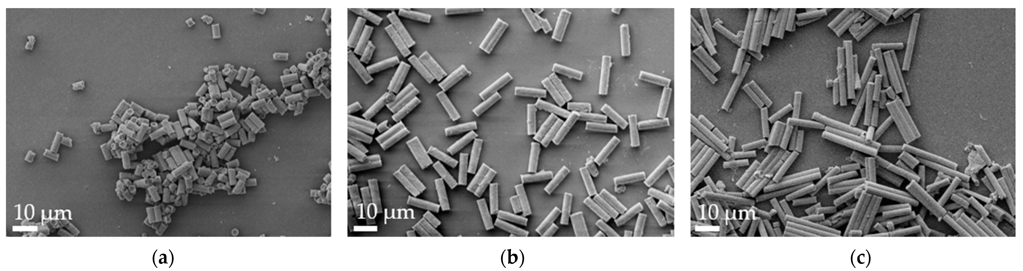Pharmaceutics 16 00232 g001 Pharmaceutics 16 00232 g001