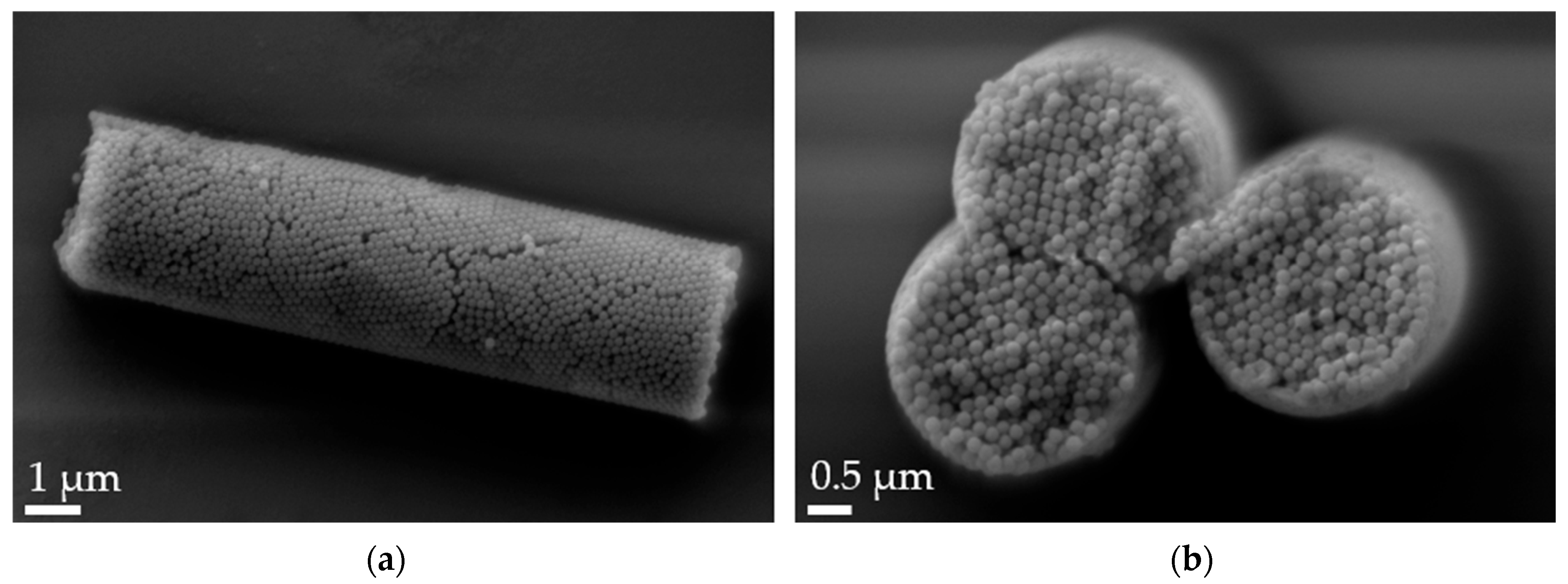 Pharmaceutics 16 00232 g002 Pharmaceutics 16 00232 g002