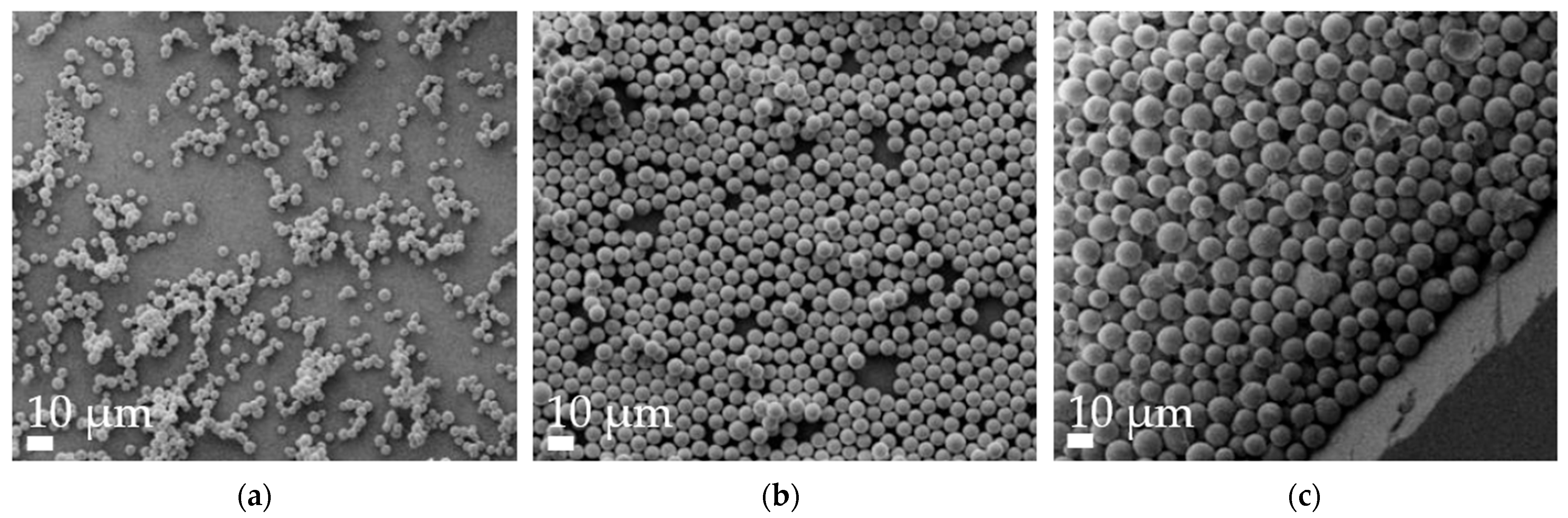 Pharmaceutics 16 00232 g005 Pharmaceutics 16 00232 g005