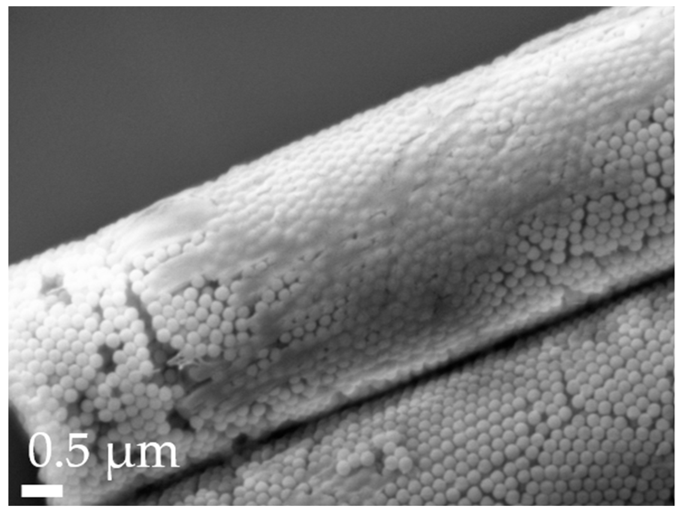 Pharmaceutics 16 00232 g006 Pharmaceutics 16 00232 g006