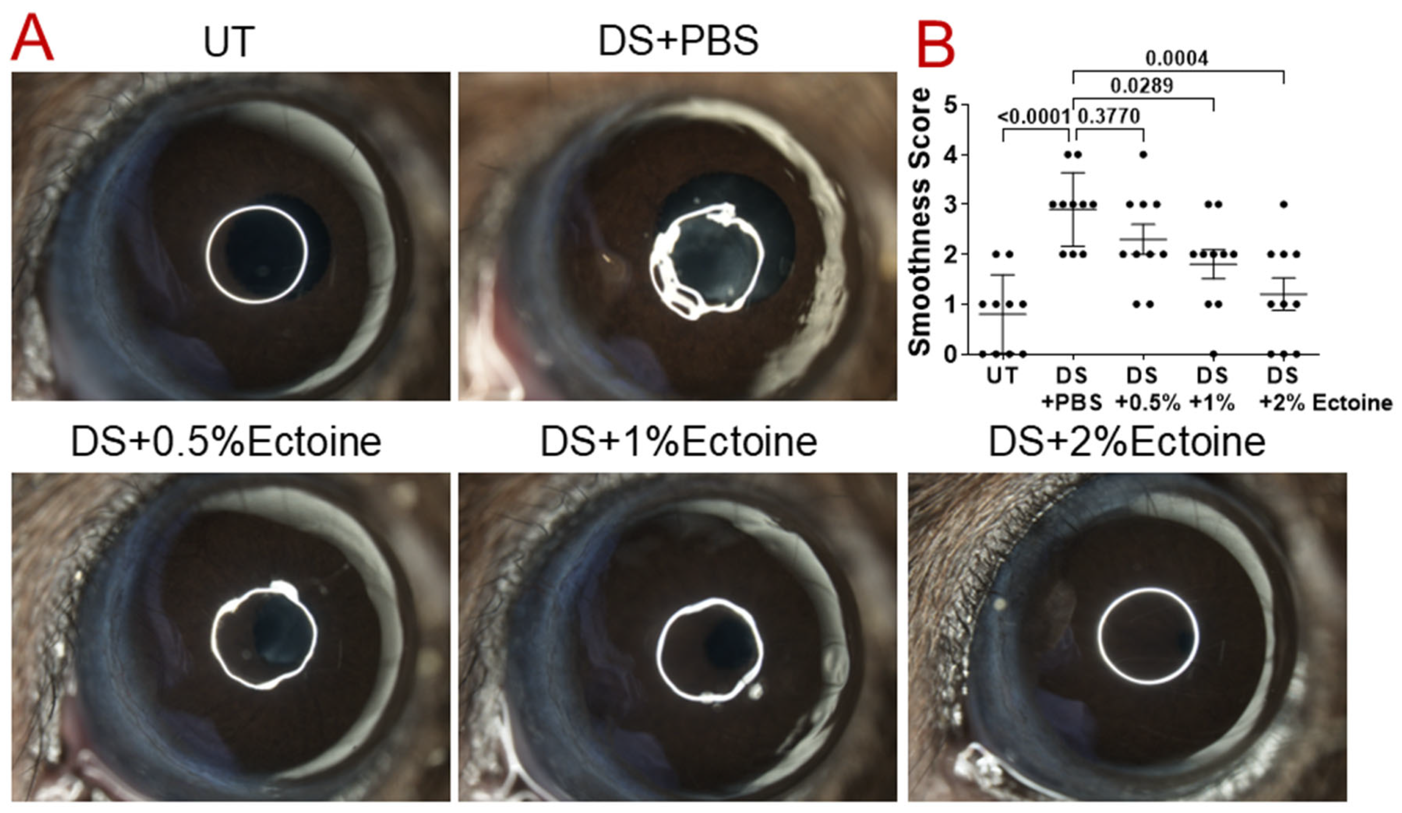 Pharmaceutics 16 00236 g001
