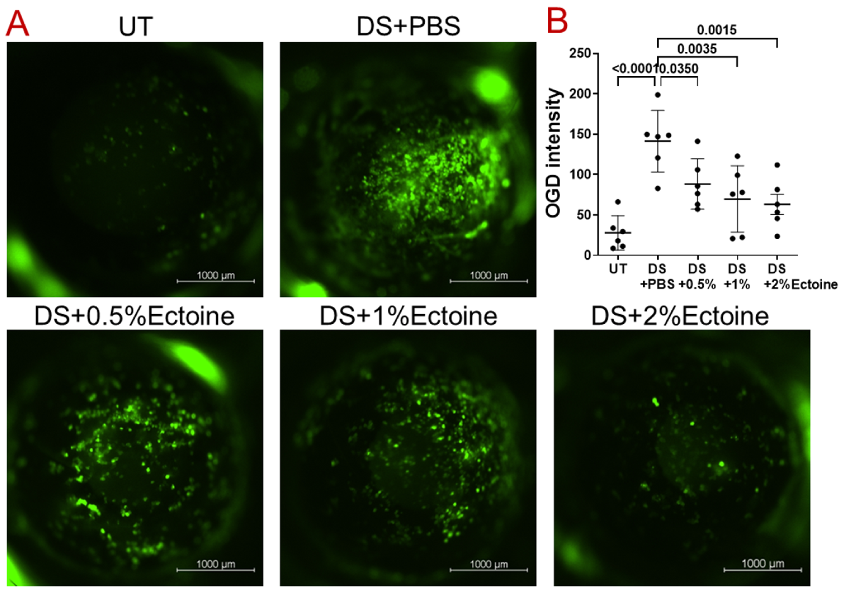 Pharmaceutics 16 00236 g002