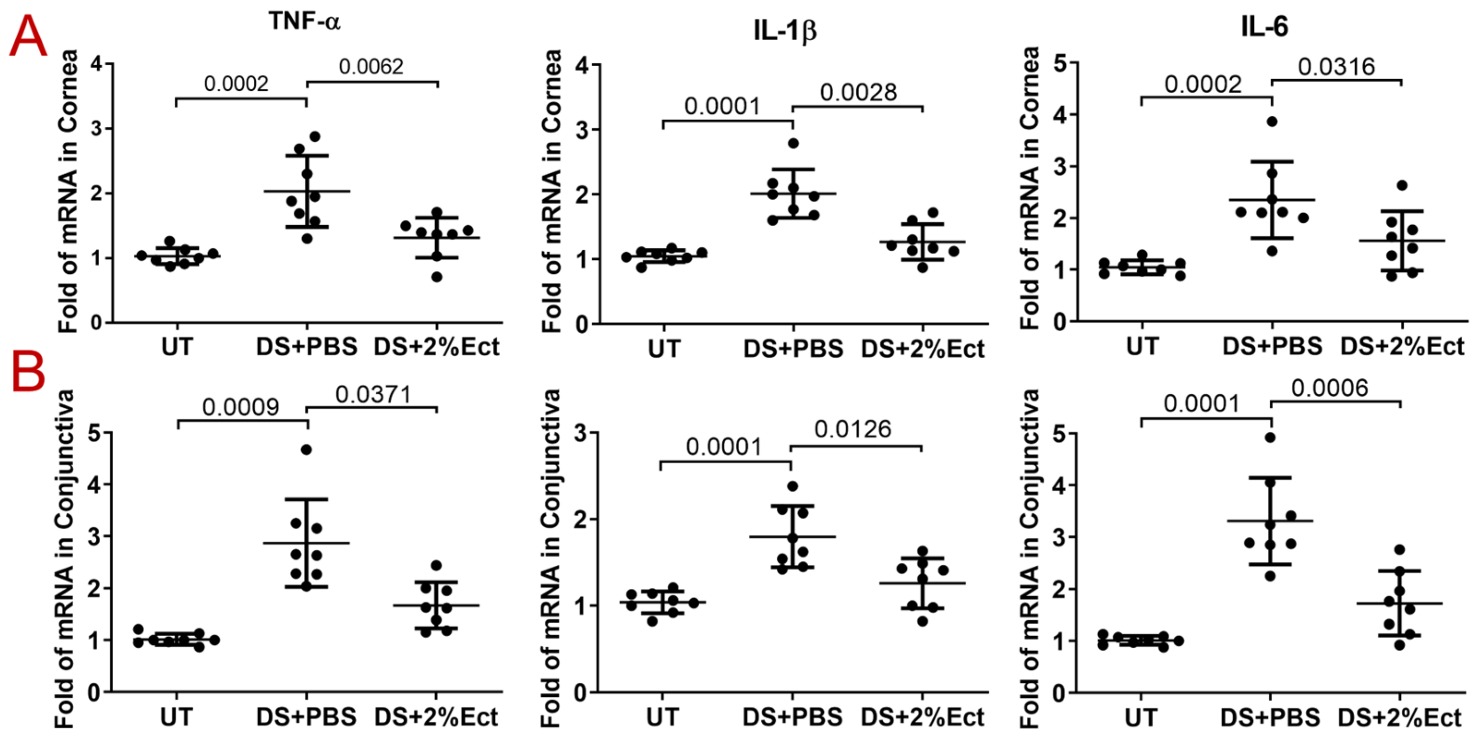 Pharmaceutics 16 00236 g003