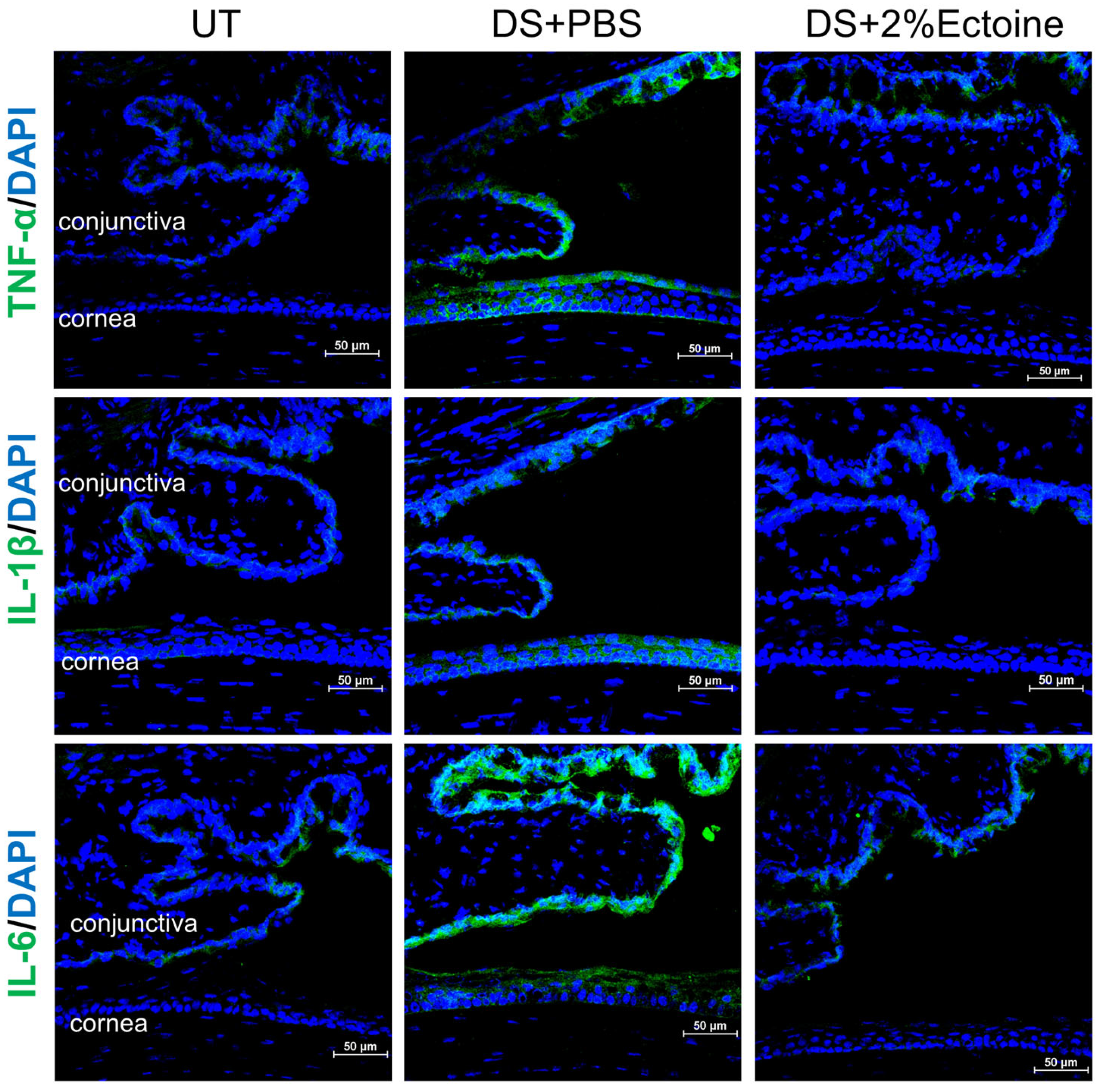 Pharmaceutics 16 00236 g004