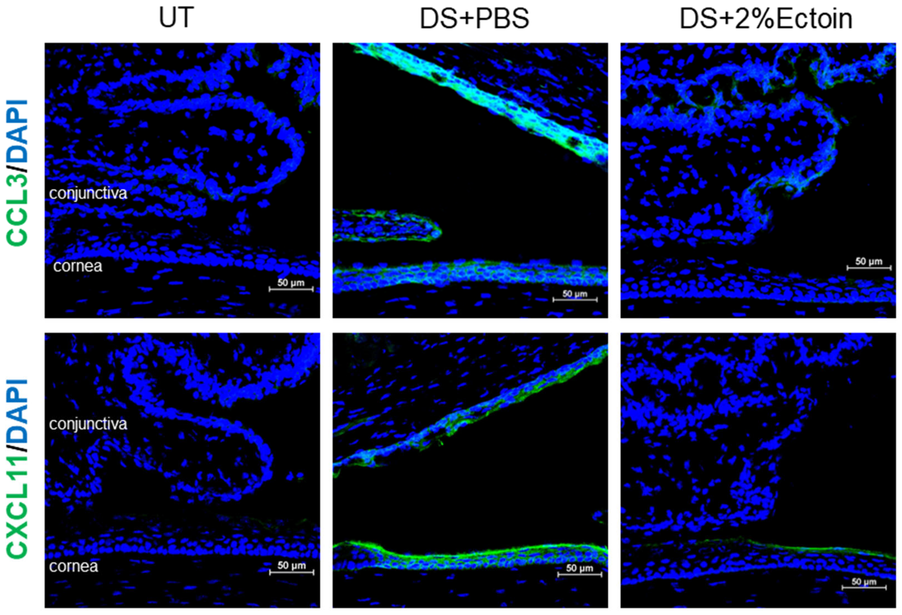 Pharmaceutics 16 00236 g006