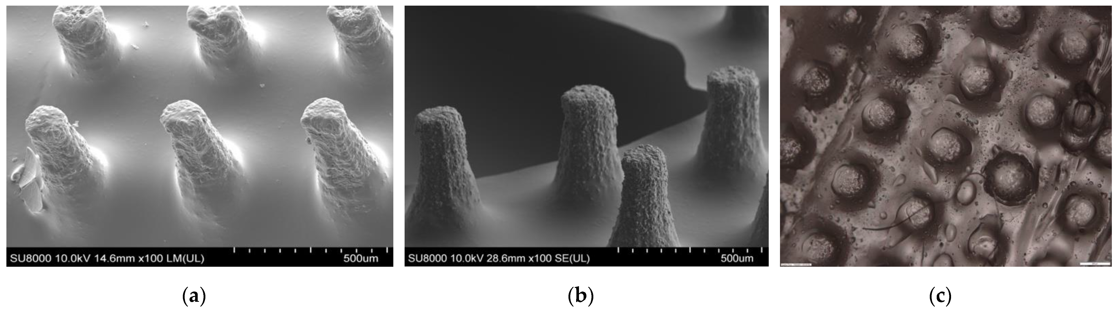 Pharmaceutics 16 00237 g006