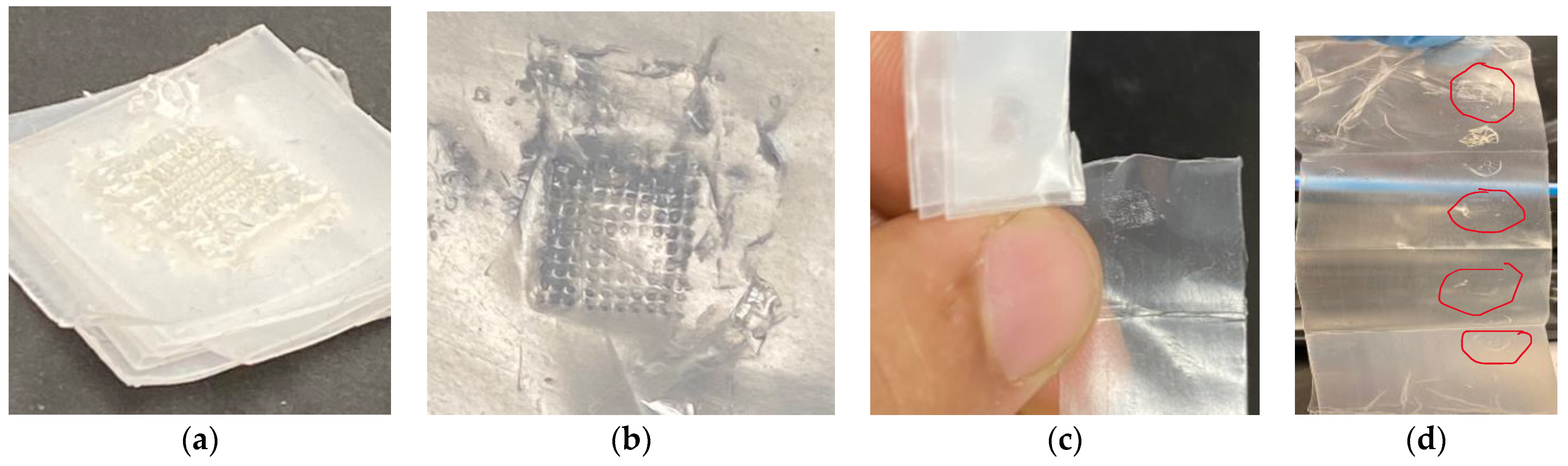 Pharmaceutics 16 00237 g010