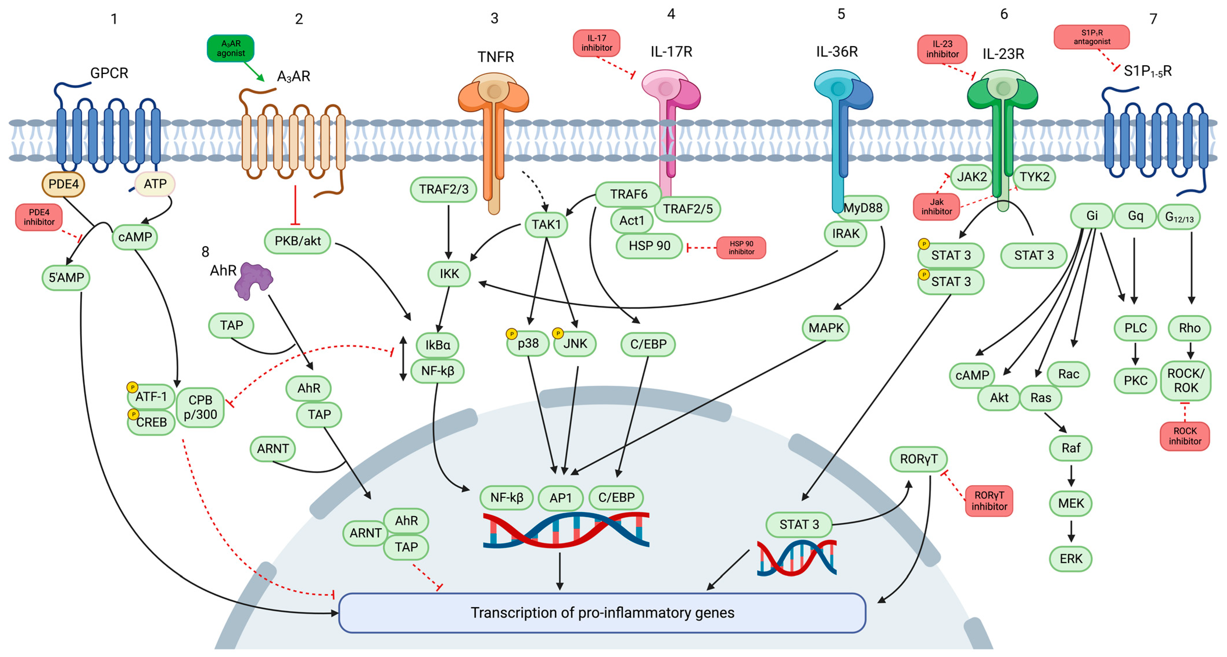 New and Emerging Oral/Topical Small-Molecule Treatments for Psoriasis