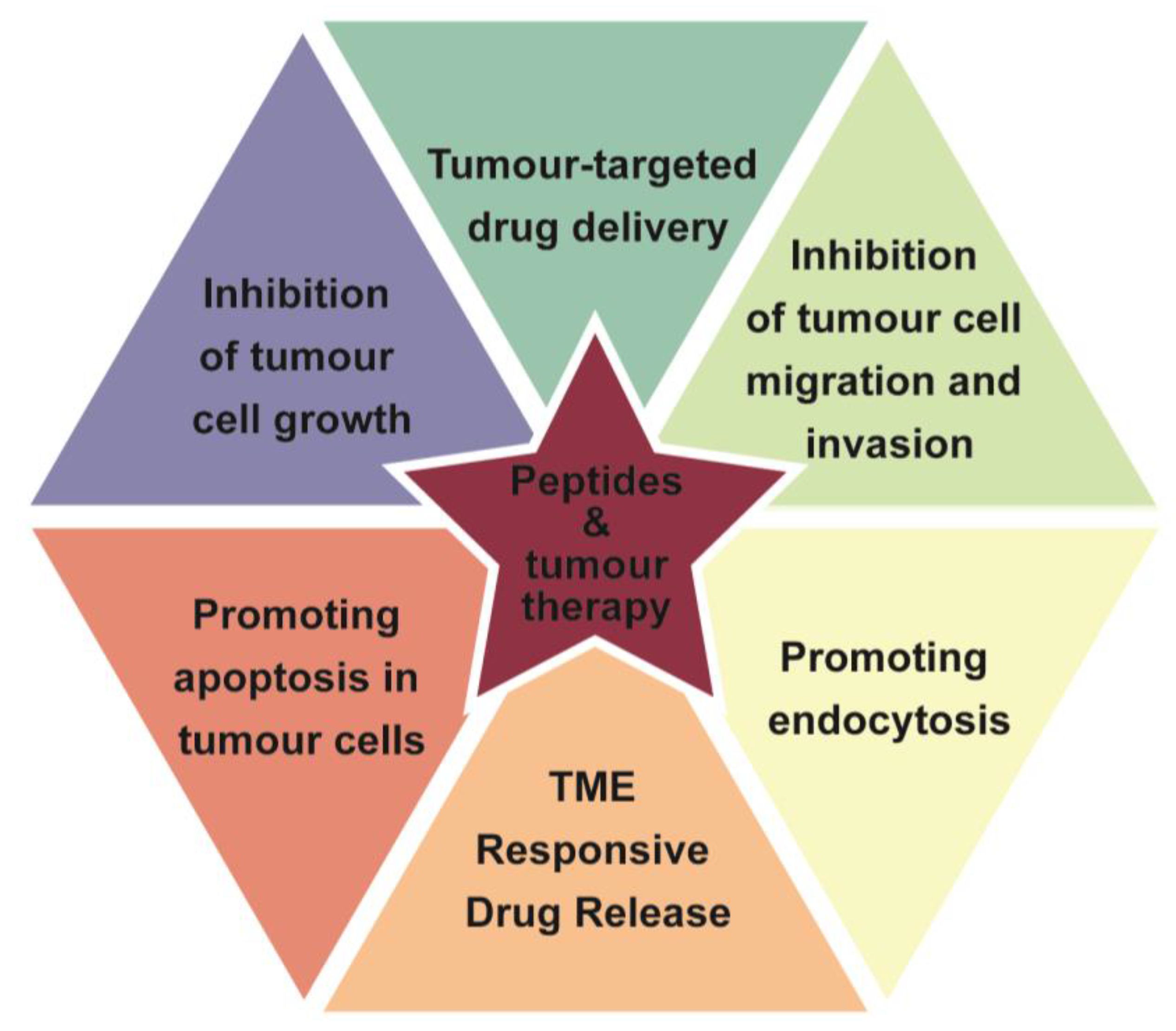 Peptide-Mediated Nanocarriers for Targeted Drug Delivery: Developments and  Strategies