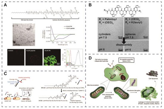 Peptide-Mediated Nanocarriers for Targeted Drug Delivery