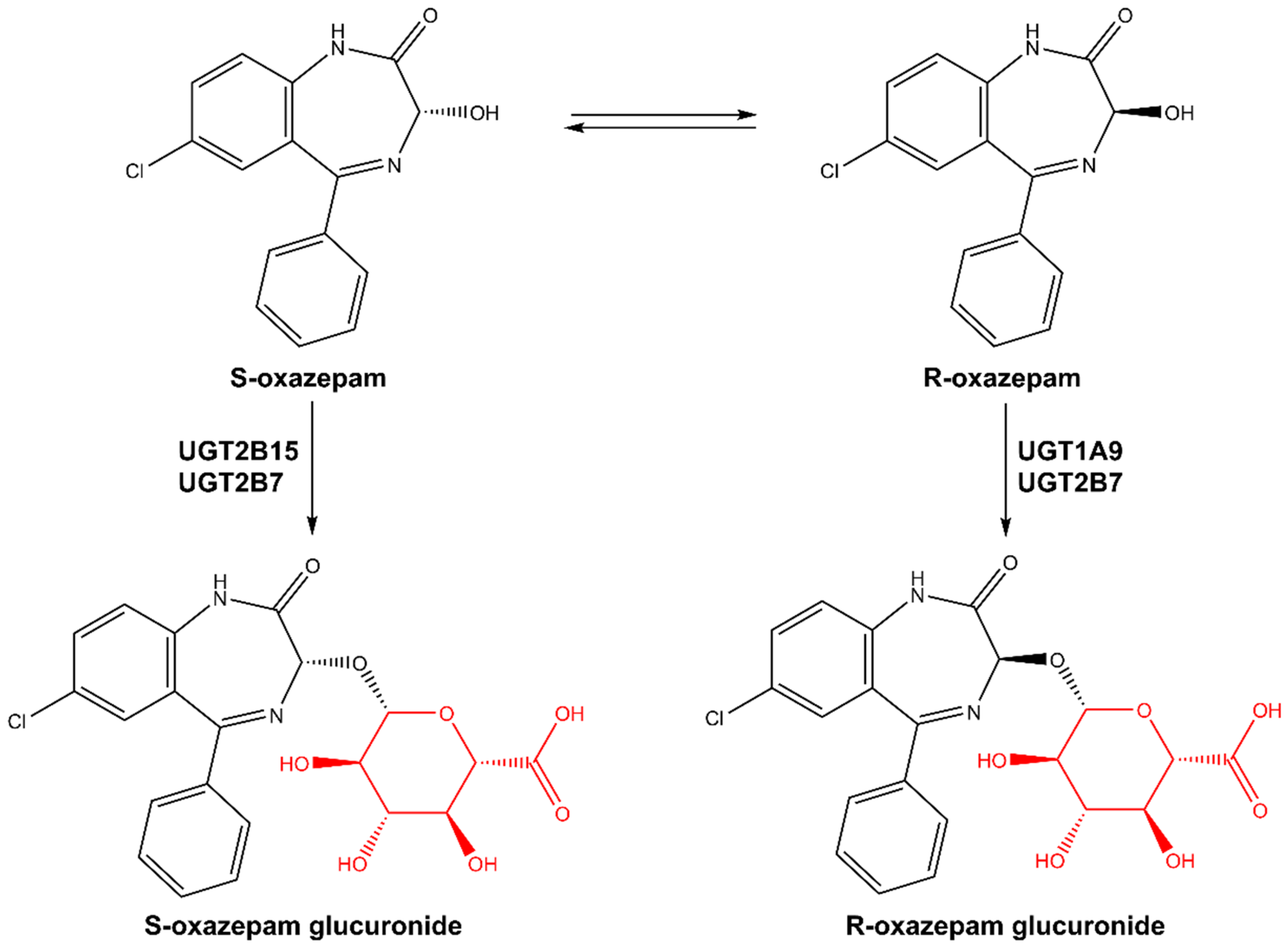 Pharmaceutics 16 00243 g001 Pharmaceutics 16 00243 g001