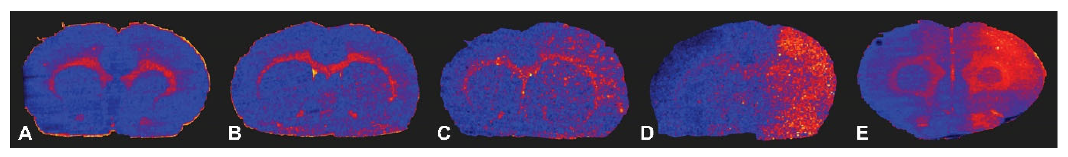 Pharmaceutics 16 00246 g005