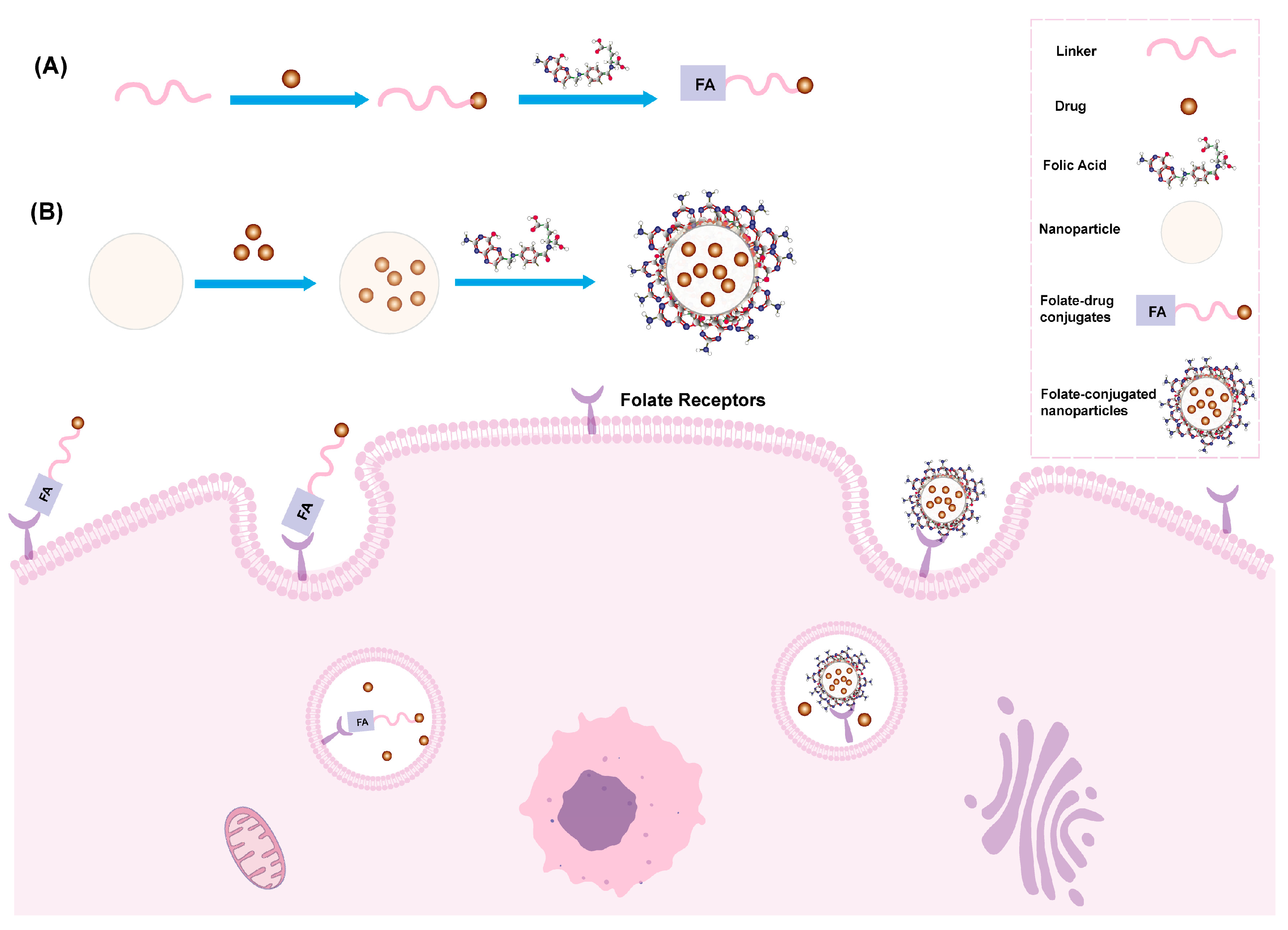 Pharmaceutics 16 00248 g002