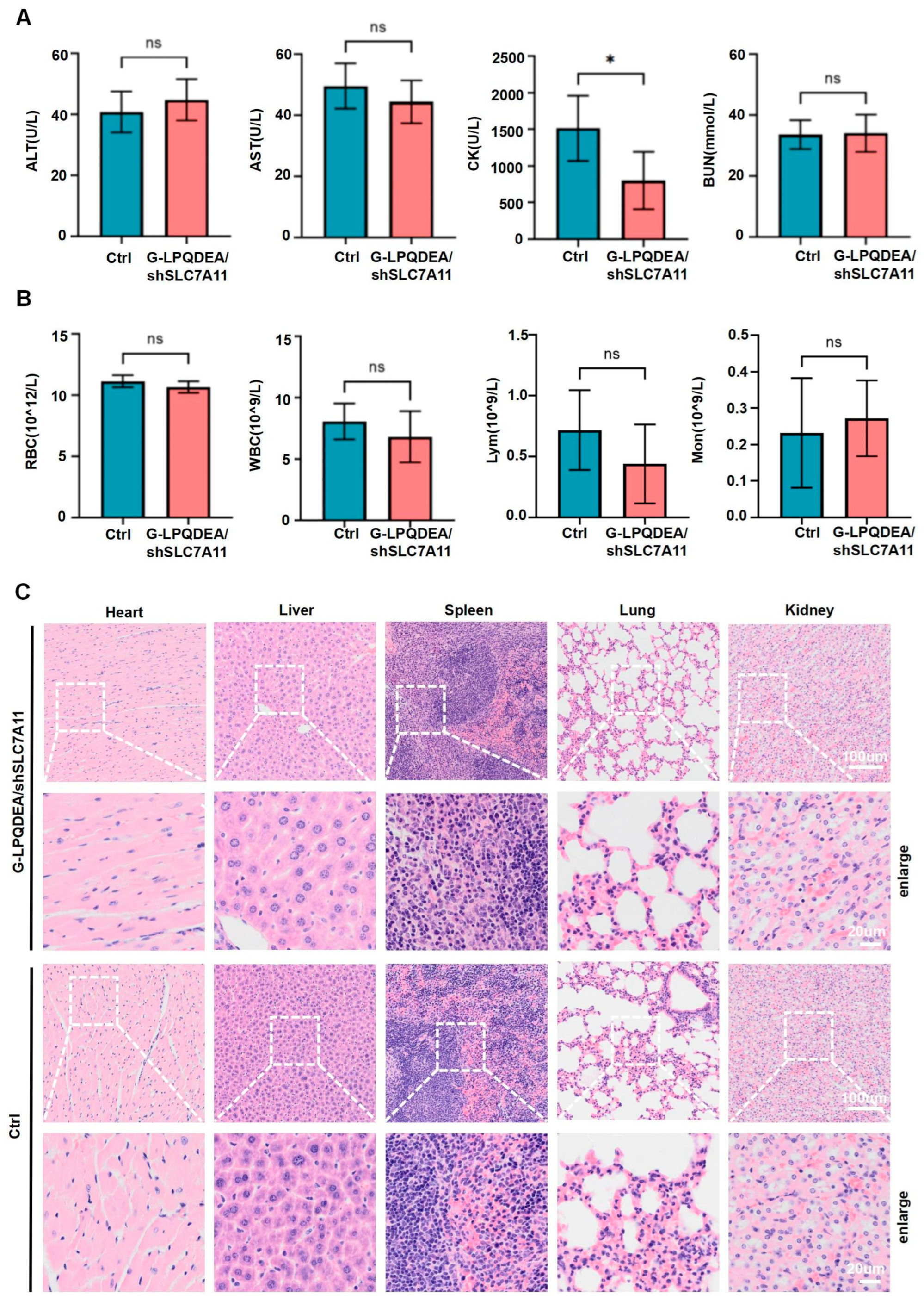 Pharmaceutics 16 00249 g007