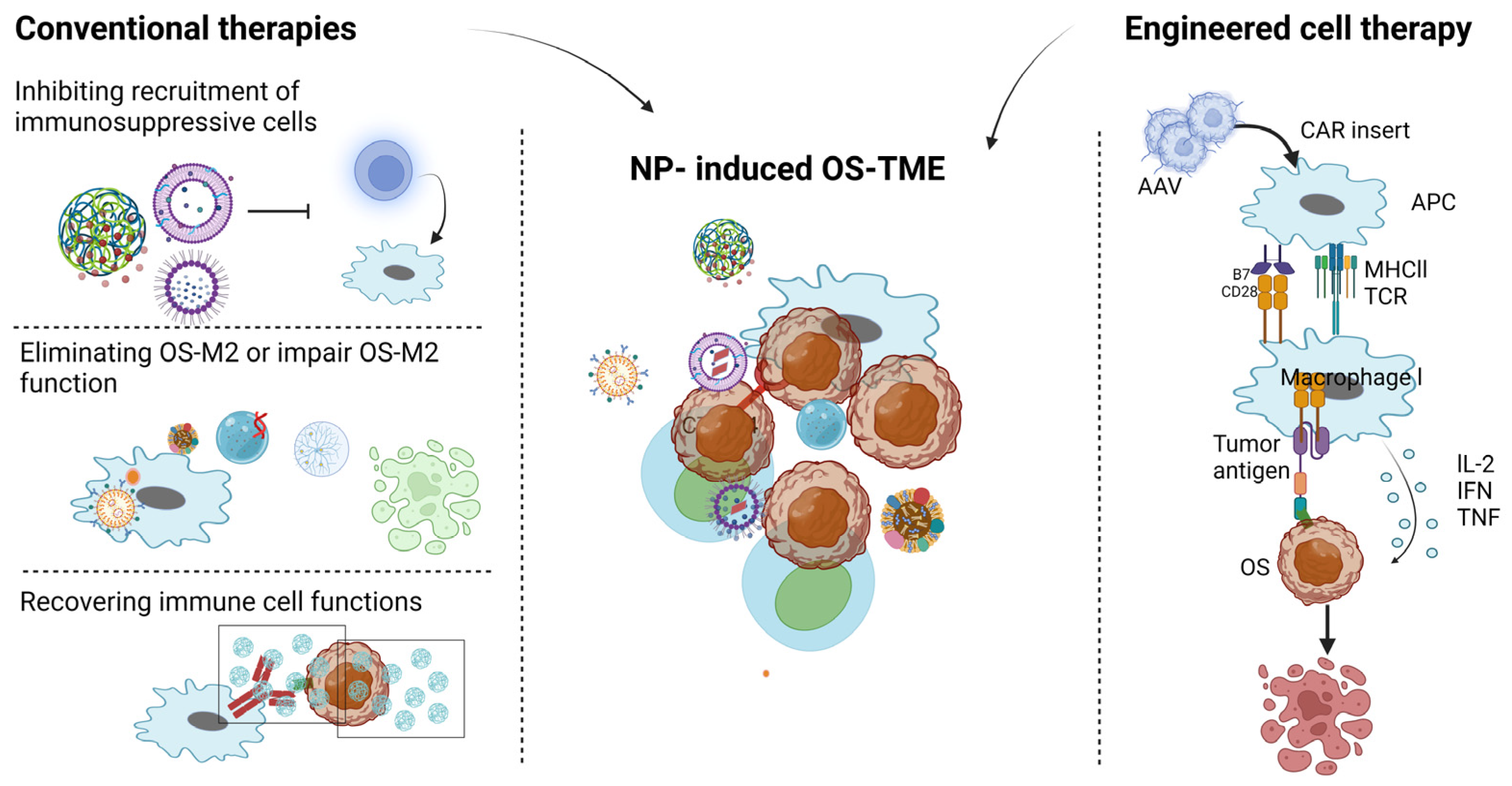 Pharmaceutics 16 00251 g002