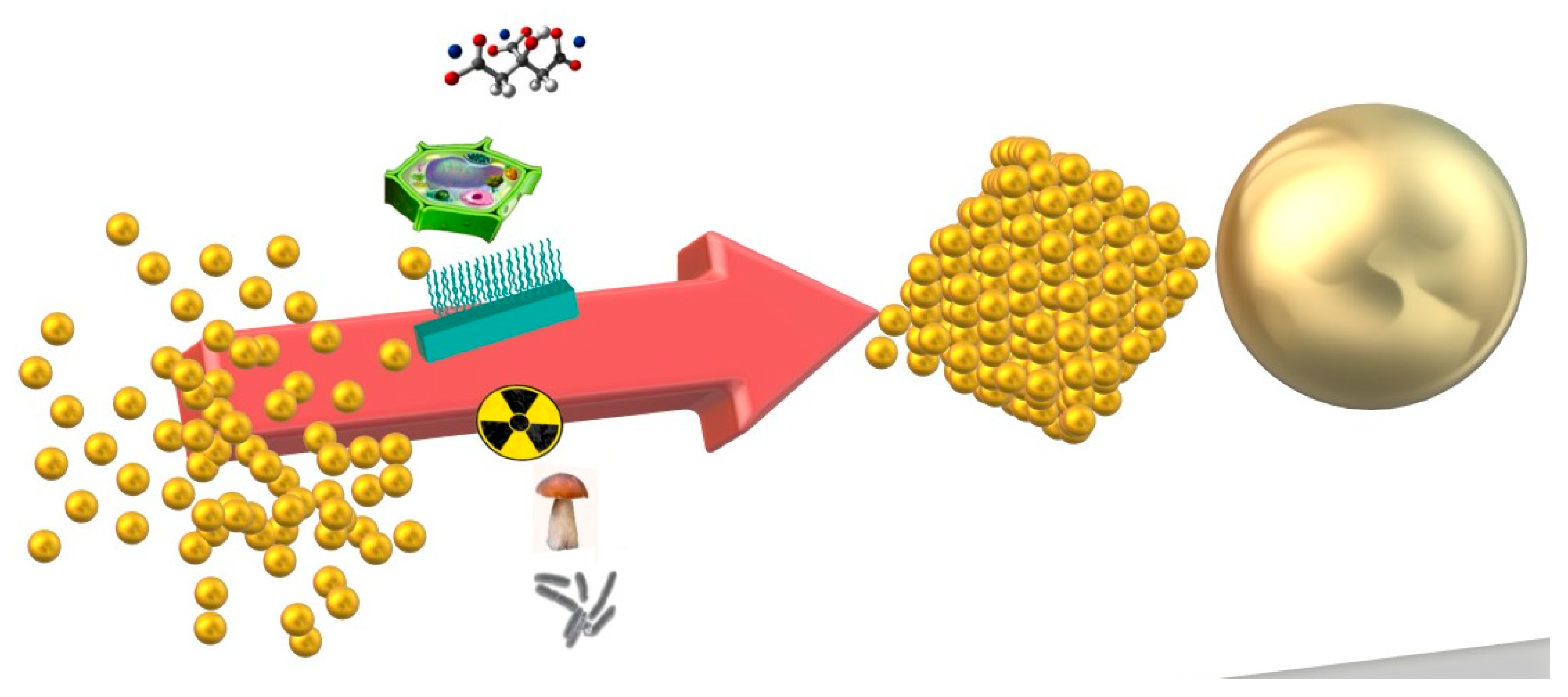 Pharmaceutics 16 00255 g002