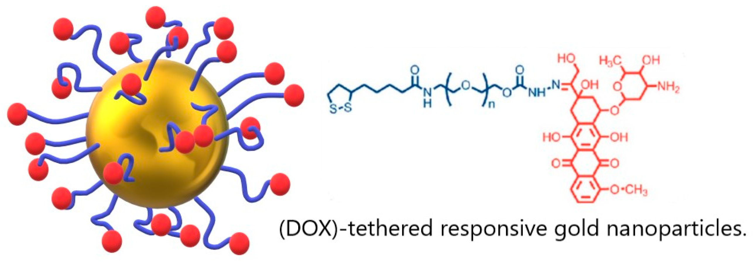 Pharmaceutics 16 00255 g003