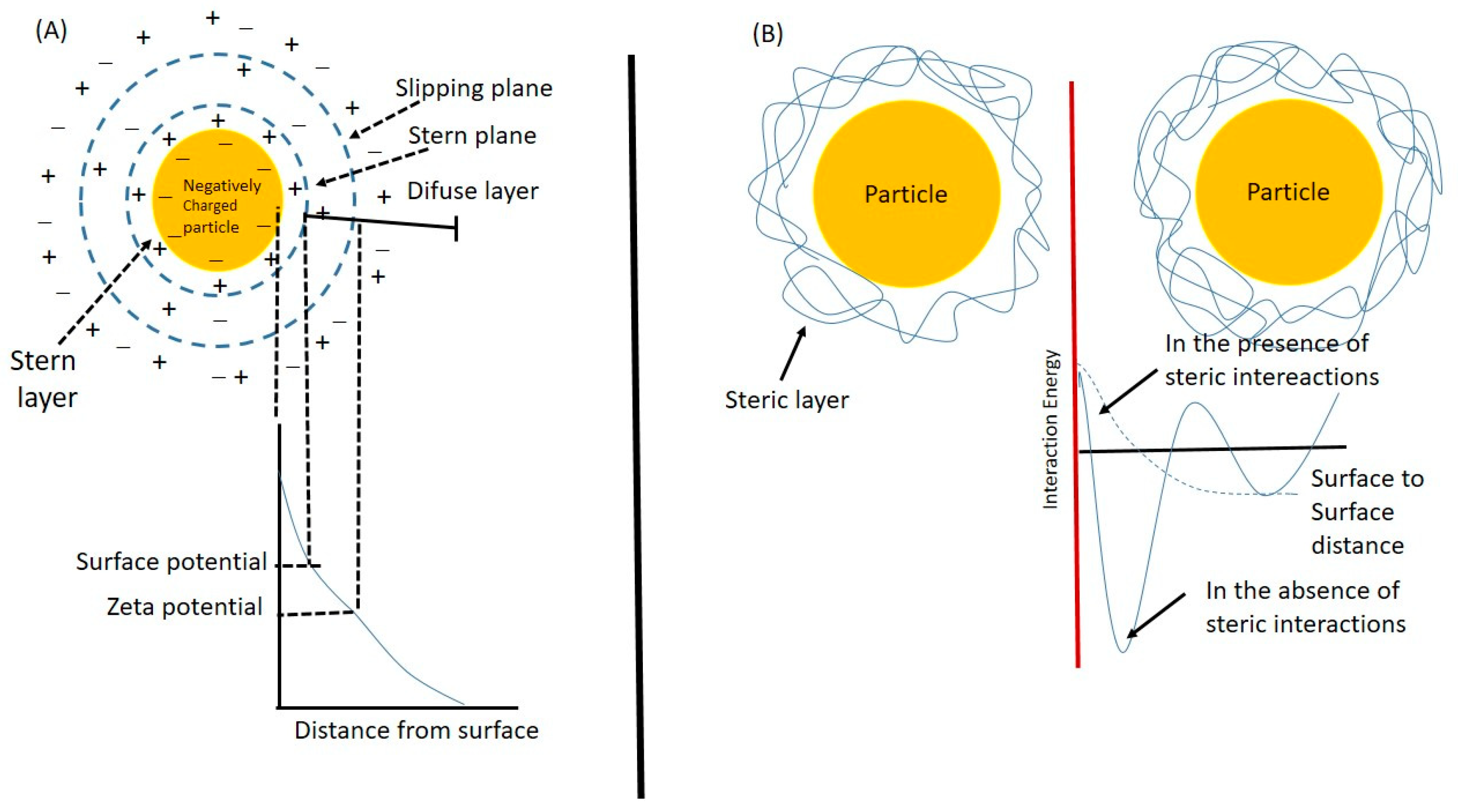 Pharmaceutics 16 00255 g004