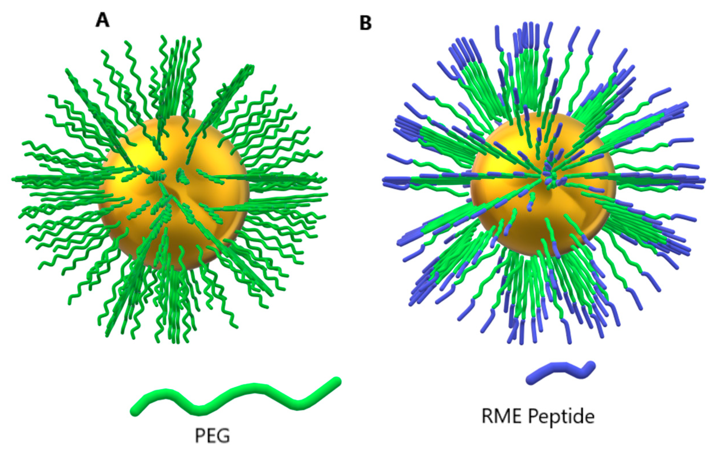 Pharmaceutics 16 00255 g007