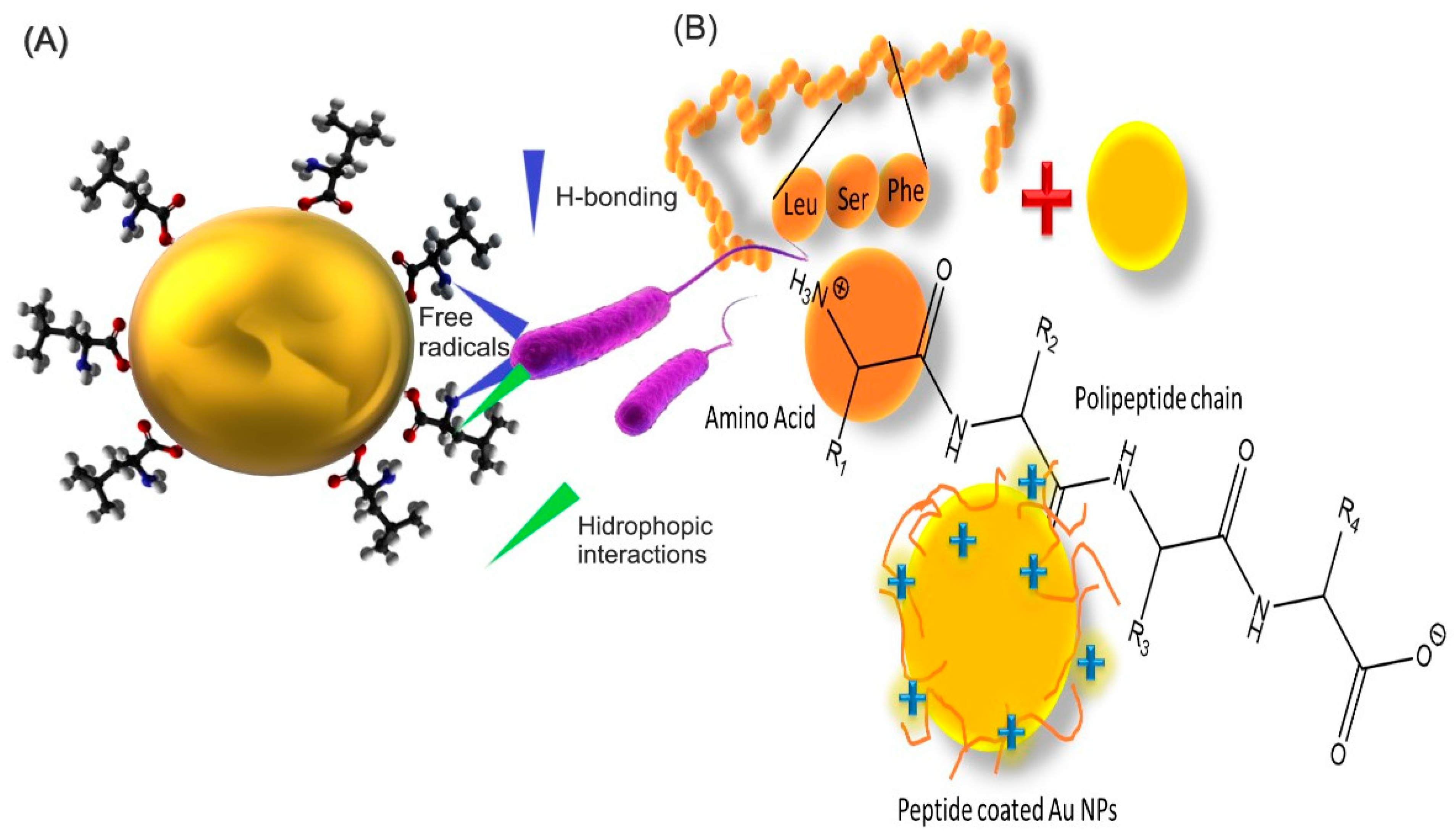 Pharmaceutics 16 00255 g009