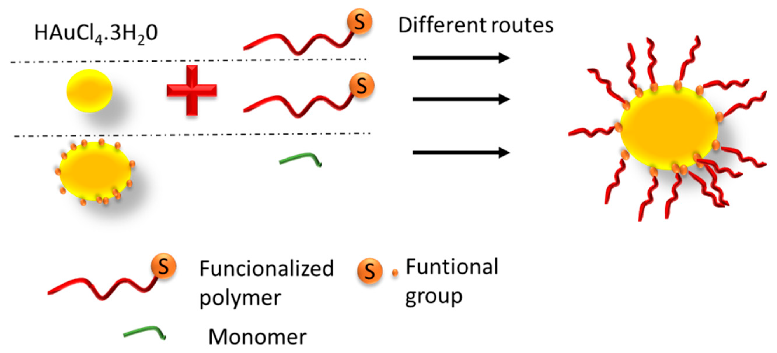 Pharmaceutics 16 00255 g012