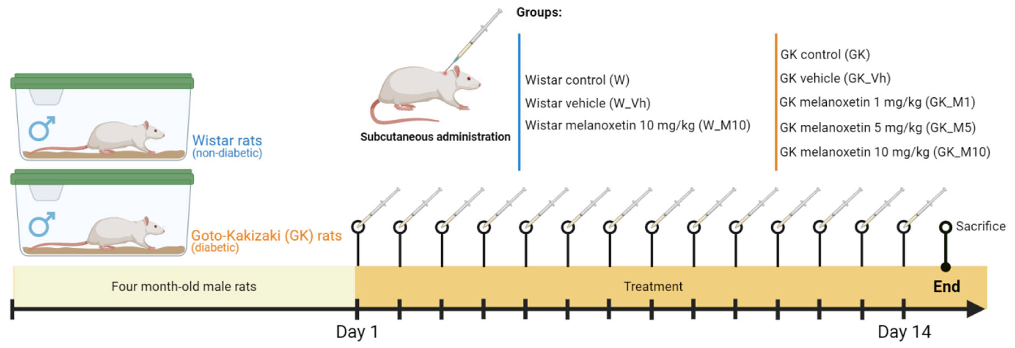 Pharmaceutics 16 00261 g002