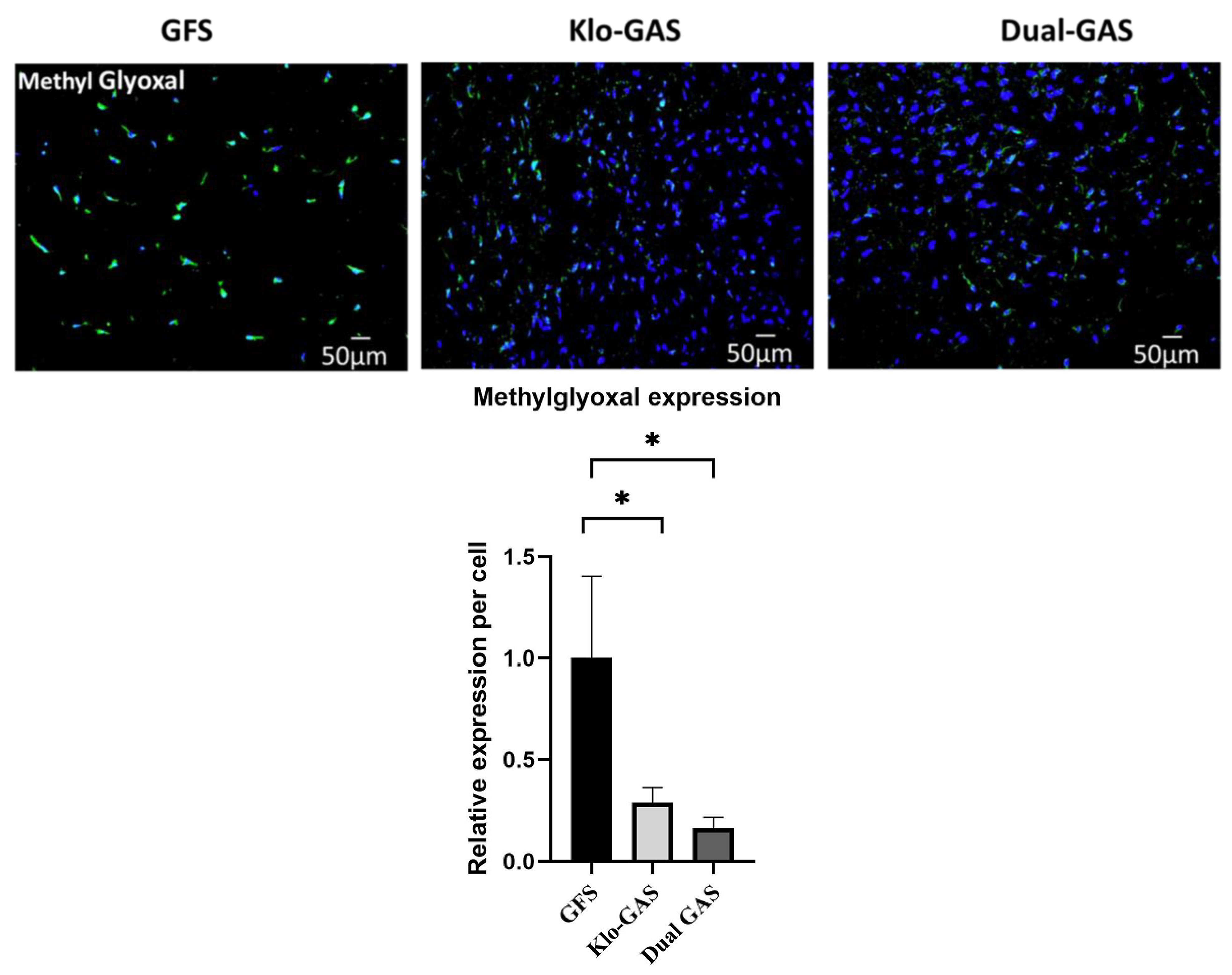 Pharmaceutics 16 00265 g001