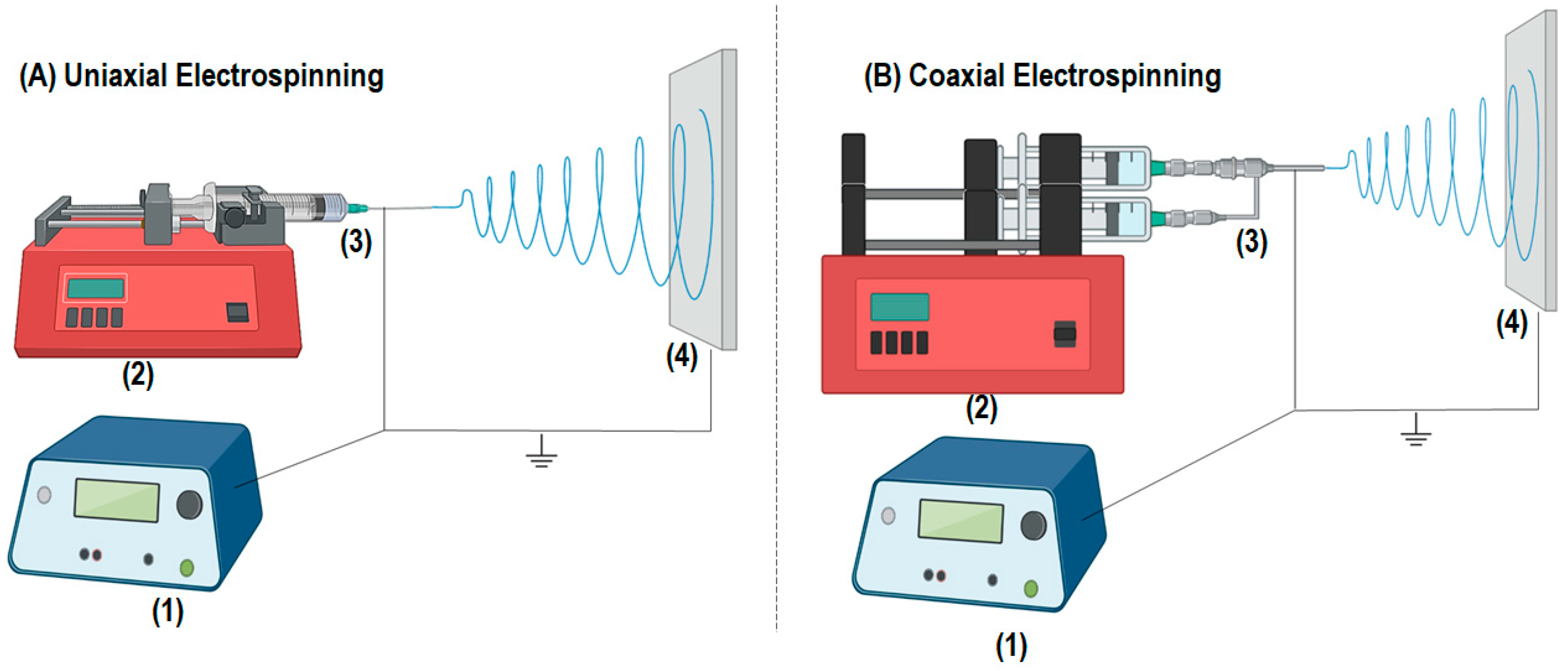 Pharmaceutics 16 00268 g001